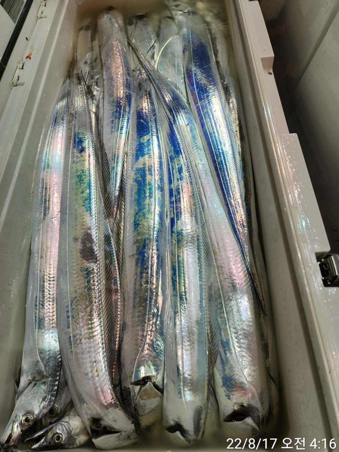 media&token=972c2204-5025-4f1a-9fdb-d814bf8fc20d