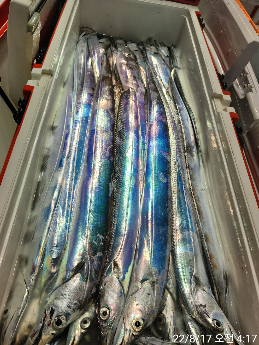 media&token=ddd28ac3-ed25-439c-a141-77b200ec0e63