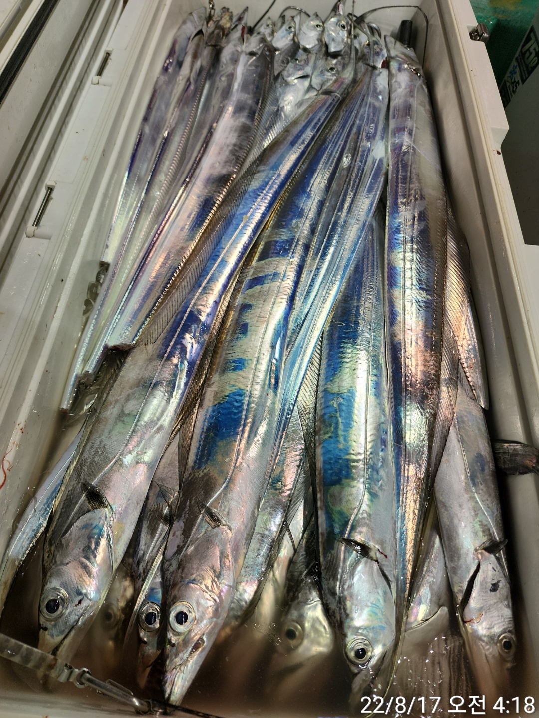 media&token=d8f29b45-5d9e-4ceb-9aed-cef2011b7d25