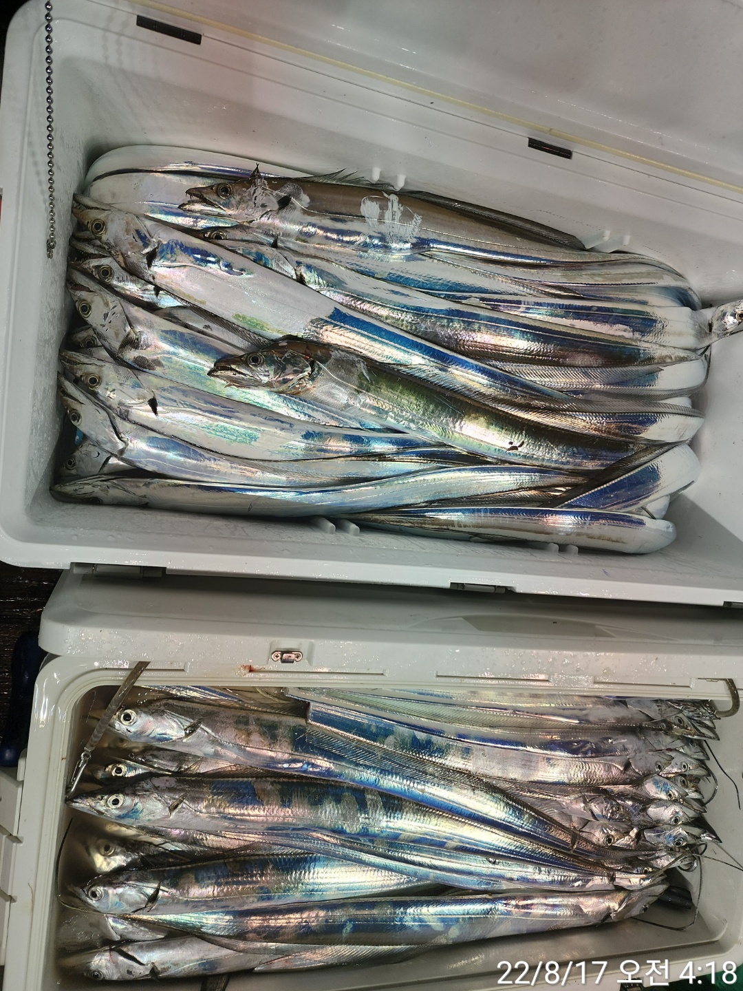 media&token=a3944684-9053-416e-a886-ab18f1b929d0