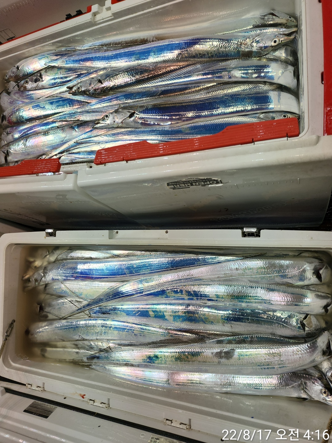 media&token=8671ea8f-3f8e-483a-988e-312f26d98a9f