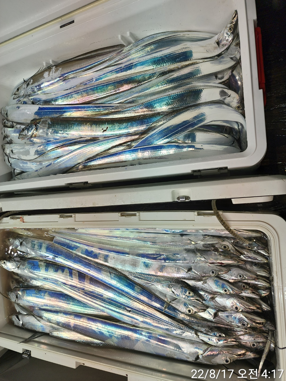 media&token=da85d962-f9bb-406a-99ba-db695d6a0464