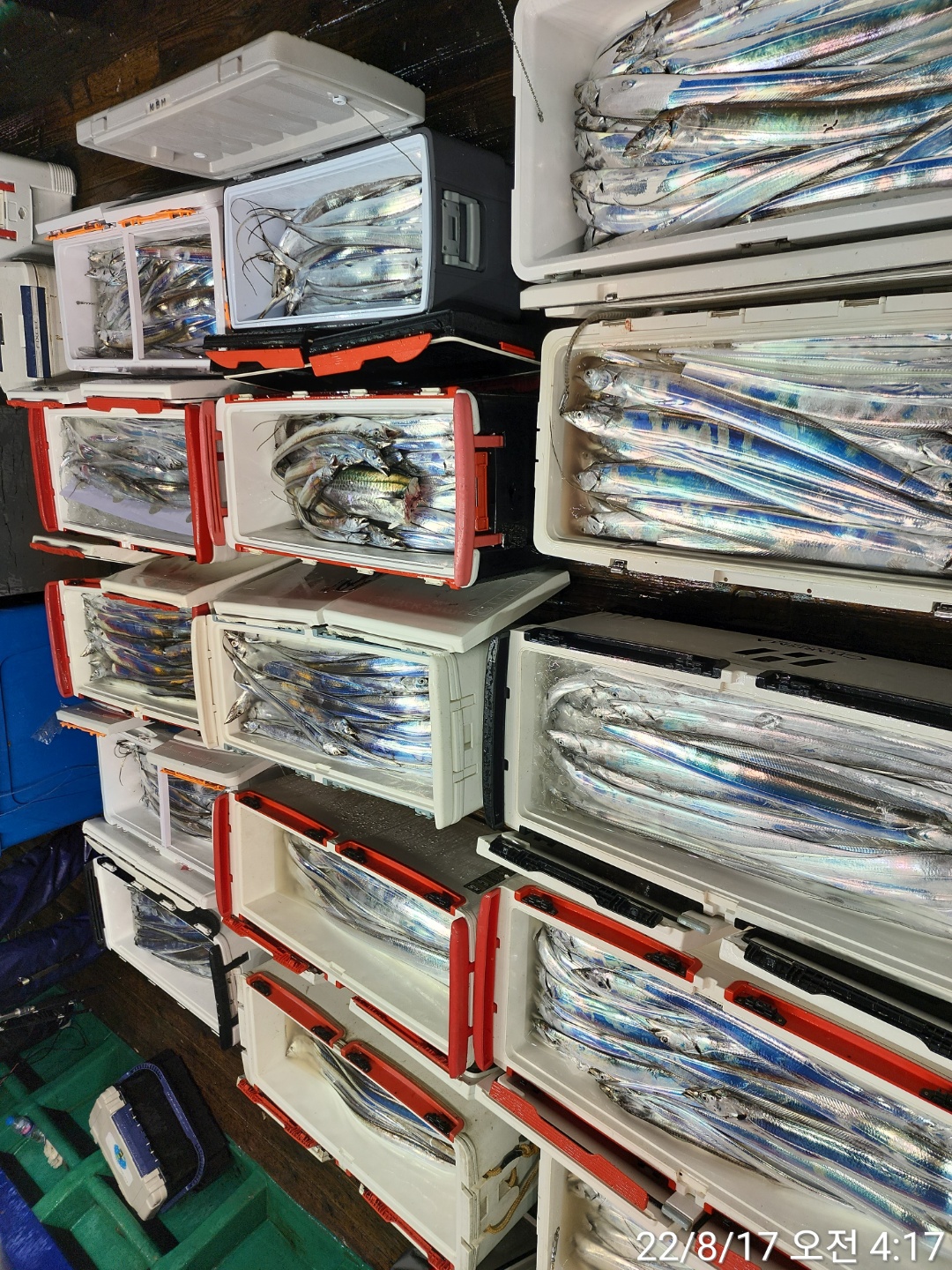 media&token=949e0362-4c60-4a22-9796-d6a6fd1ce302