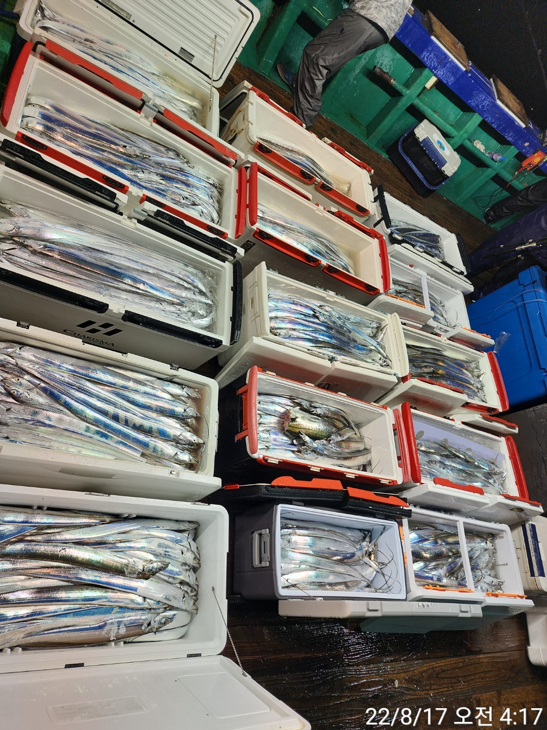 media&token=eed7df82-af33-46e8-97c3-50a92f23182e