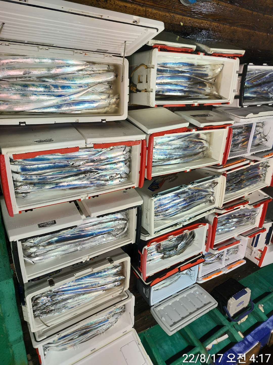 media&token=bb654d76-8c46-421d-94c1-77484b113151