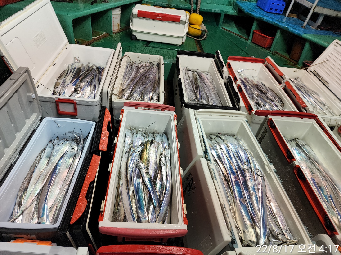 media&token=bc329b08-f9d2-44e3-9ea3-7ee1067d602e