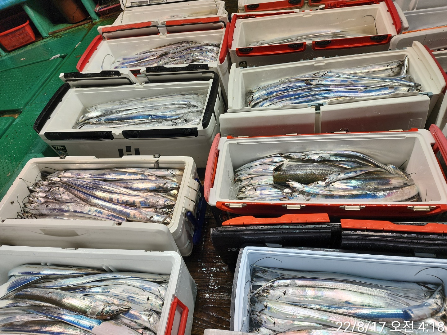 media&token=ced27e95-0be4-4ce7-953b-8fea50256bb4