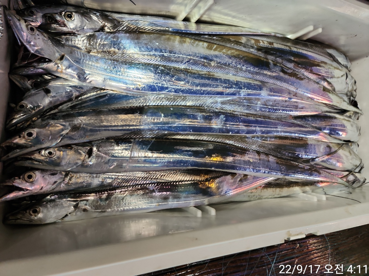 media&amp;token=b67c35da-bfbc-4bb8-922f-185f98d558eb