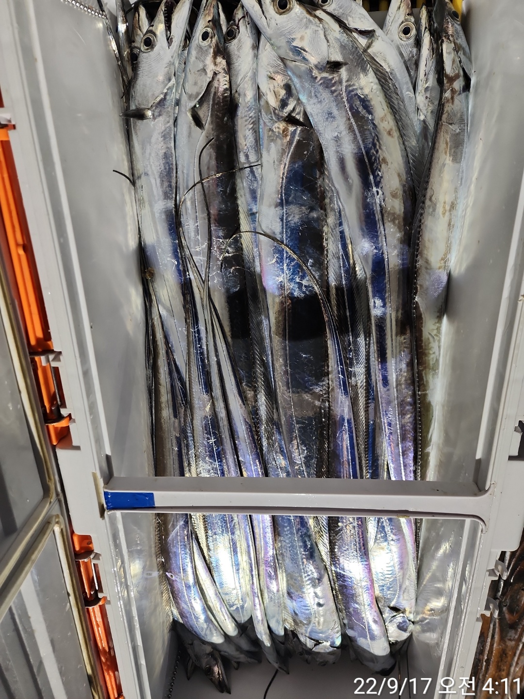 media&amp;token=533460e5-5b44-4621-8fda-ed56ad771621