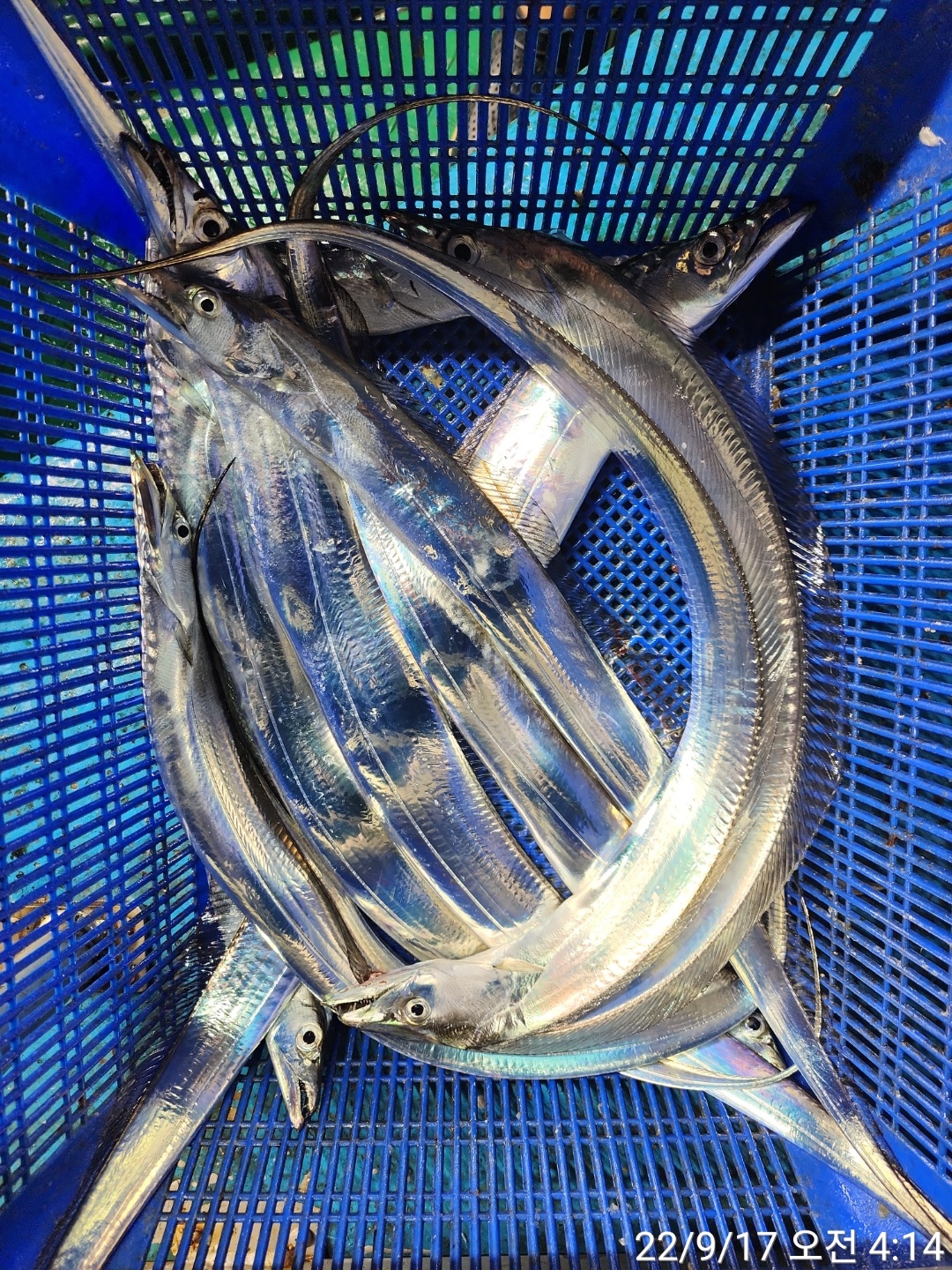 media&amp;token=d1388103-a3c4-4a41-9277-8d6940c4bb5e