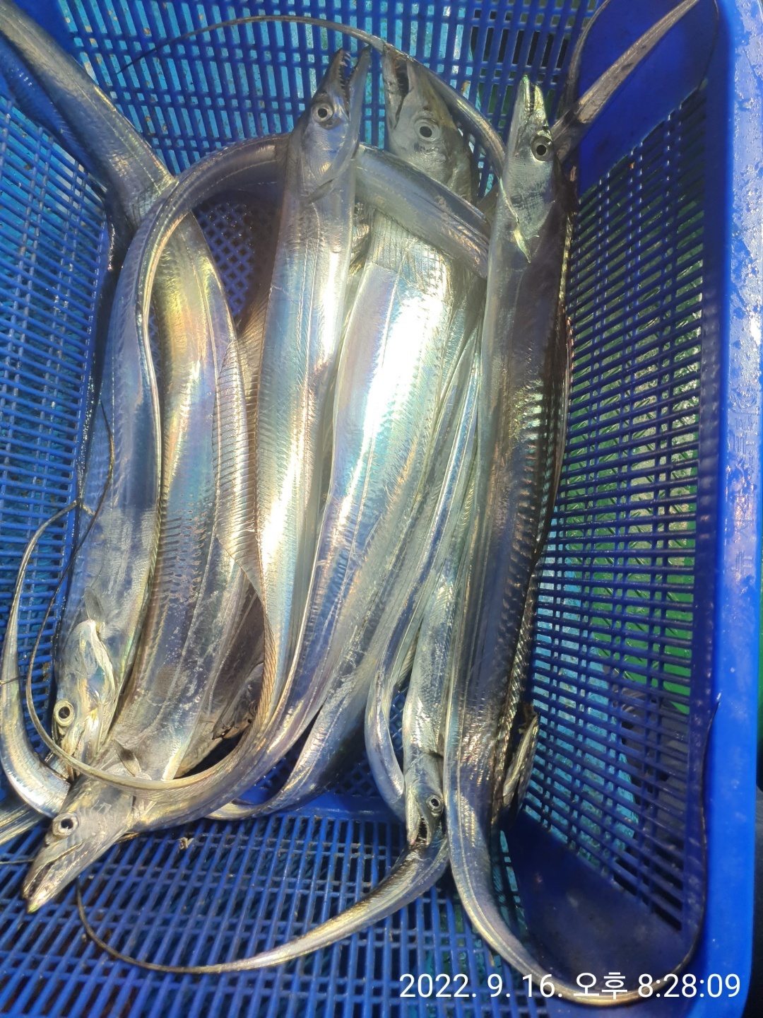 media&amp;token=4fc6c822-dde7-41ae-a7c5-e1926d2fae8f