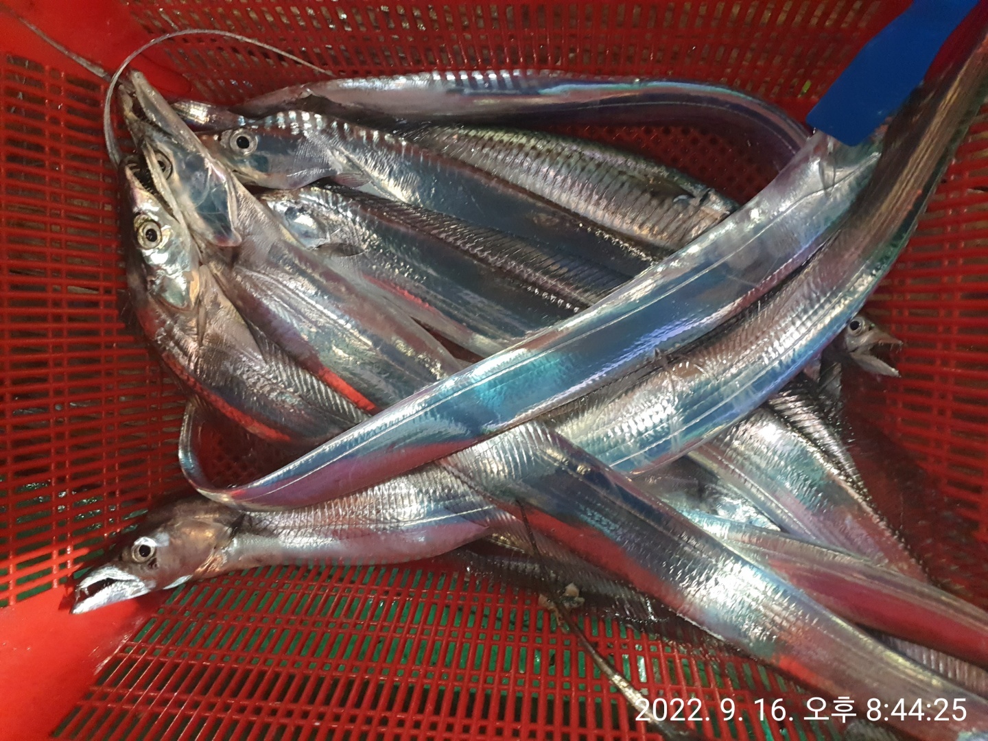 media&amp;token=e87b2225-178e-44dc-85eb-c0c3b7ffb09b