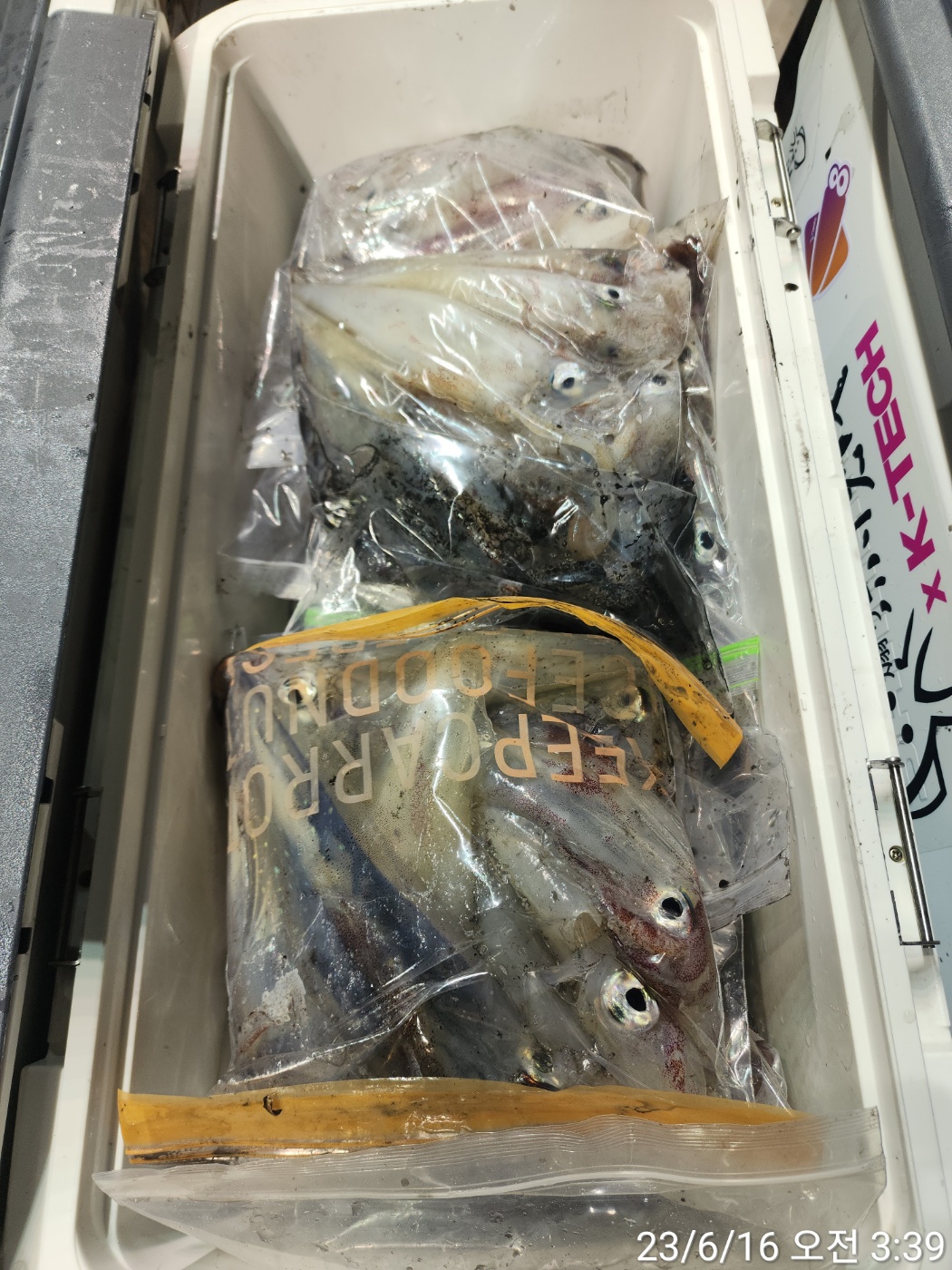 reports%2F2023%2F06%2F15%2F9_22_9%2FKaka