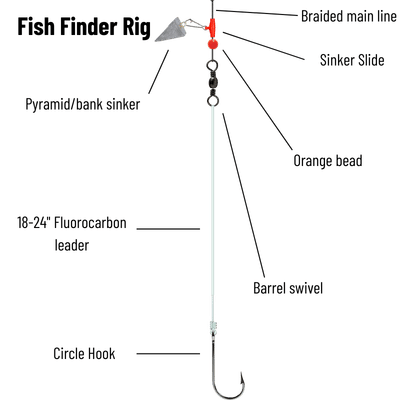 Fish Finder Rig Diagram - Typically features a pyramid or egg sinker sliding on the main line, a bead, a barrel swivel, and a leader running down to a hook baited with cut bait or shrimp.