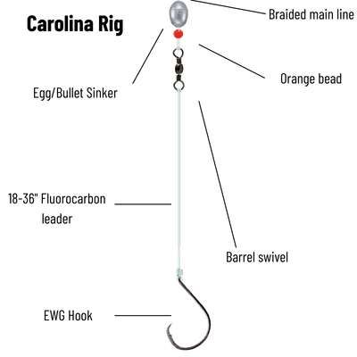 Carolina Rig Diagram - Typically features a bullet or egg sinker sliding on the main line, a bead to protect the knot, a barrel swivel, and a leader running down to a hook dressed with a soft plastic bait.