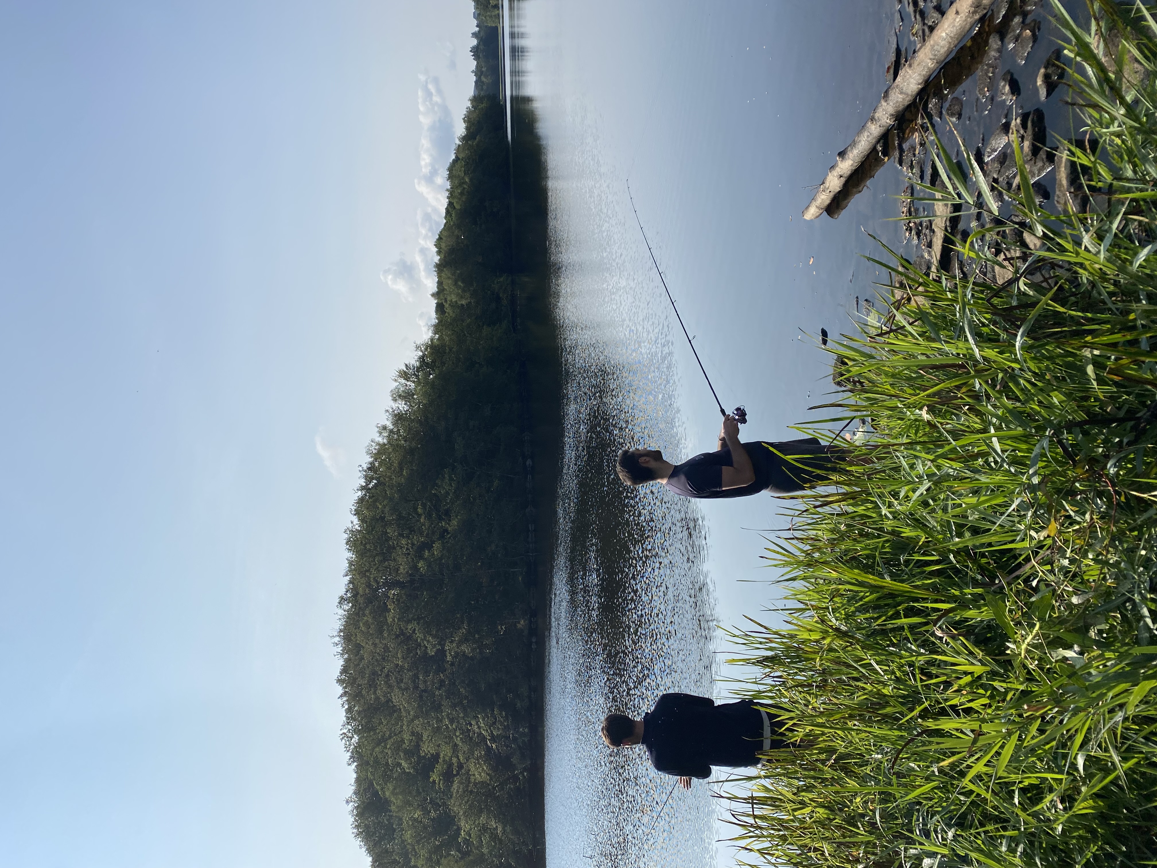 Étang de tricherie - spot de pêche eau douce