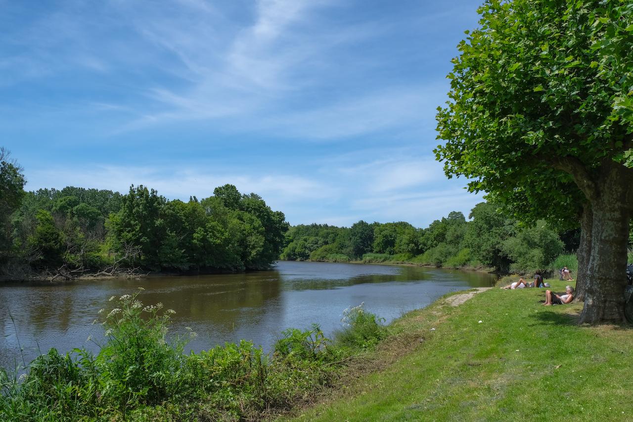 La Cale De Beautour - spot de pêche eau douce