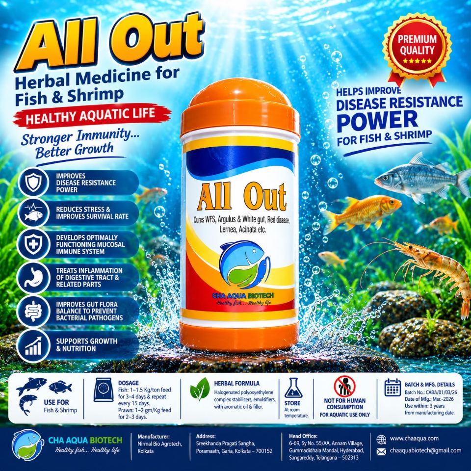 All Out Herbal Medicine