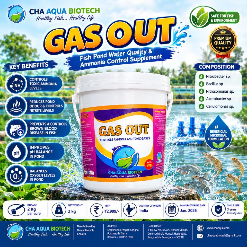 Gasout 2 Kg