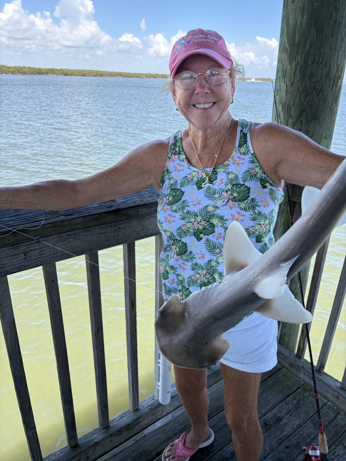 Bonnethead shark on FishReel