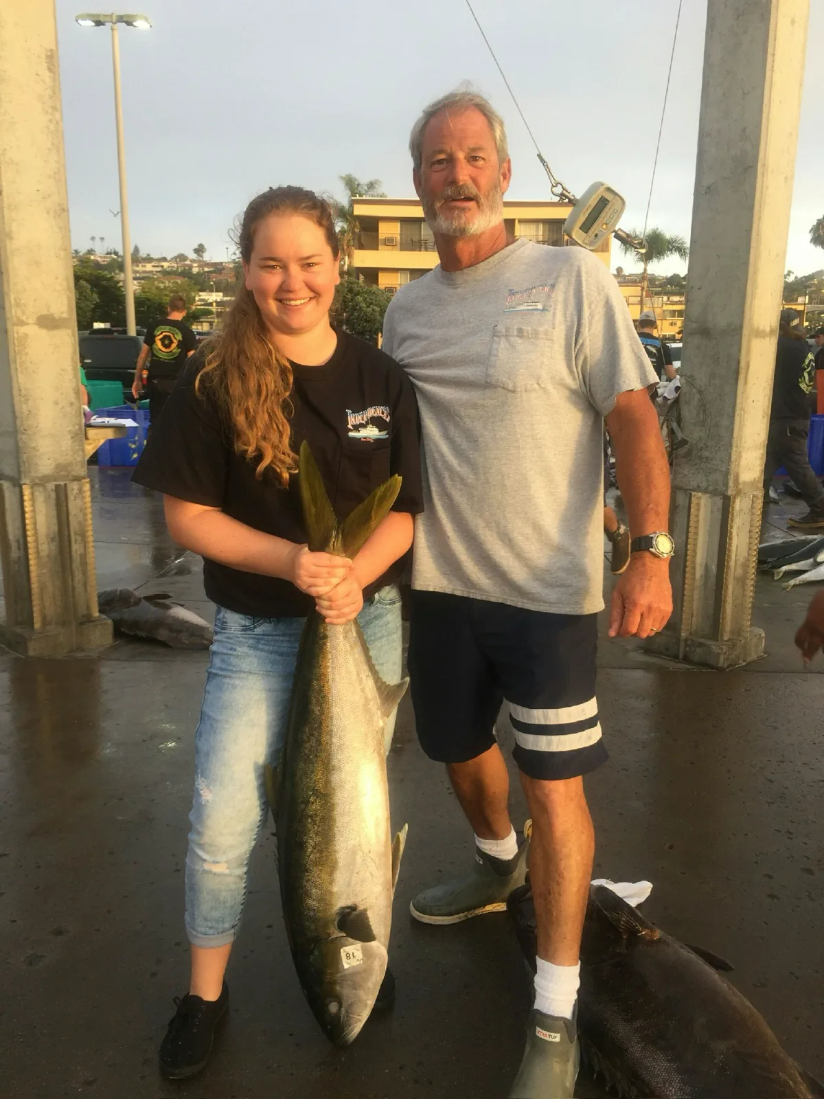 Yellowtail on FishReel