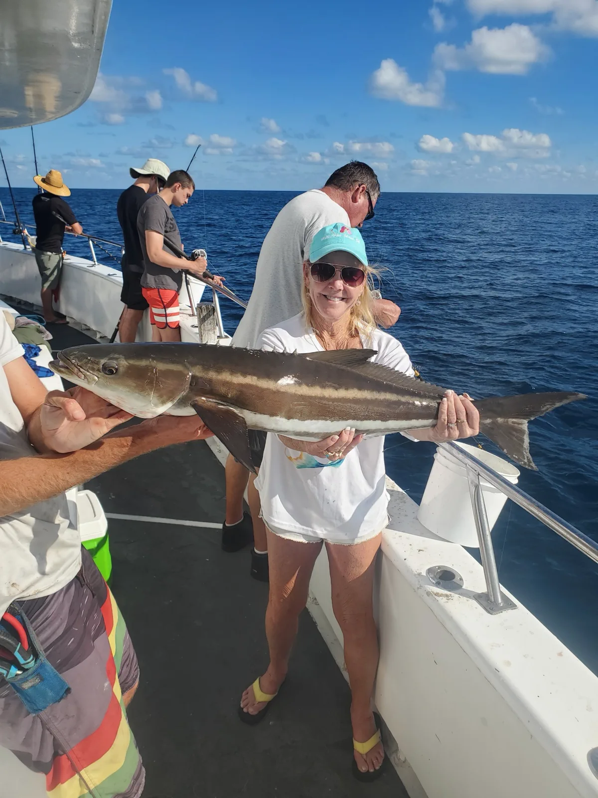 Cobia caught by Jeff S on FishReel
