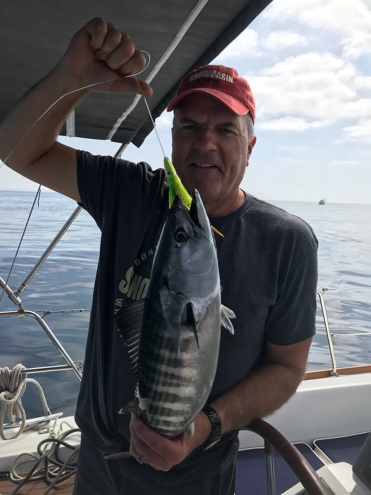 Pacific Bonito on FishReel