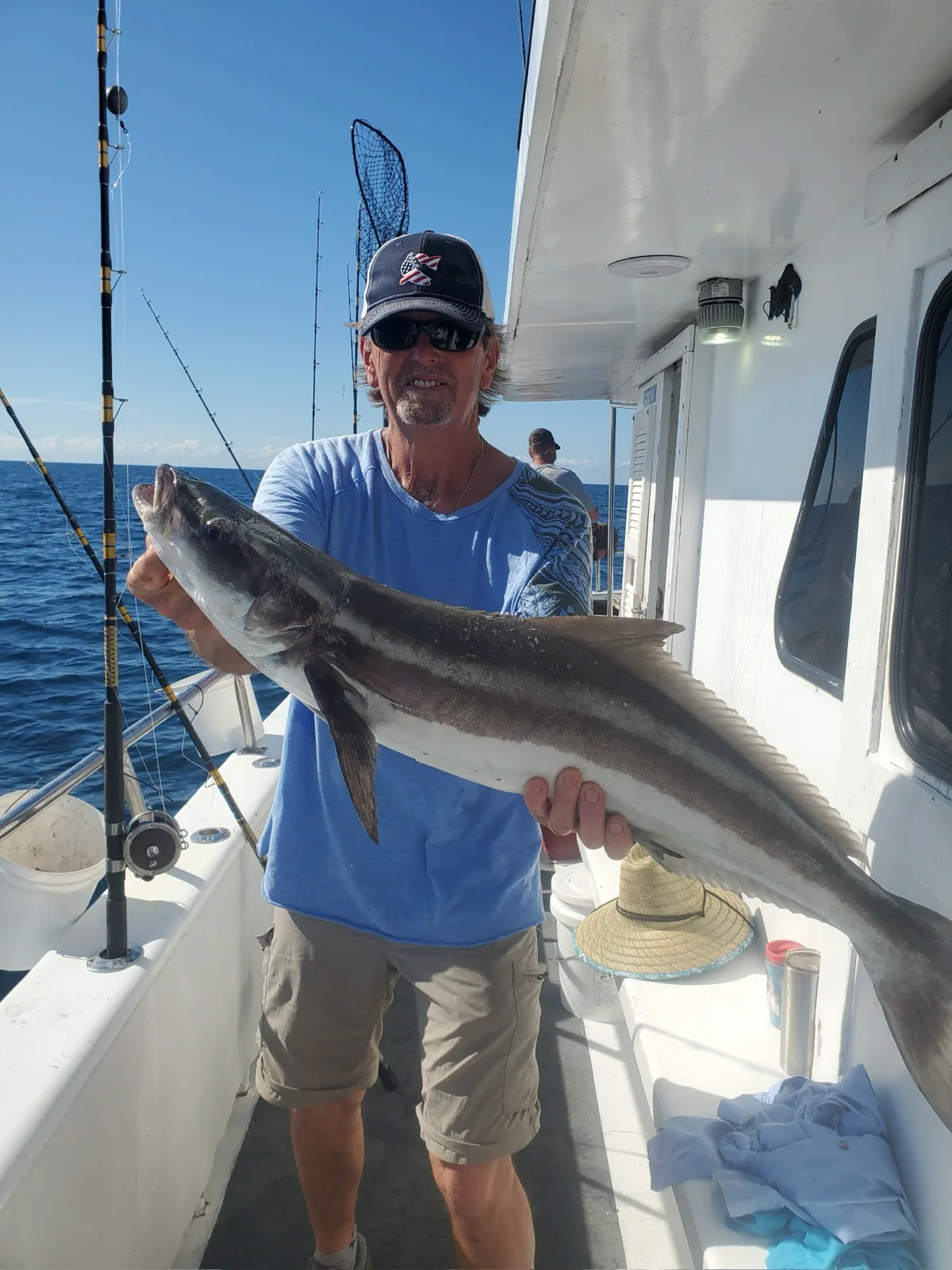 Cobia on FishReel