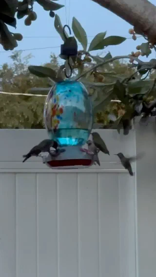 Dinner time!