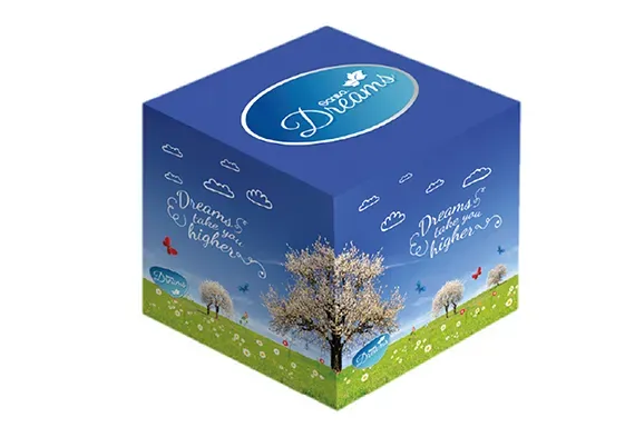 Sanita Dreams Seasons Facial Tissue | Ultra-Soft Tissues in Seasonal Designs