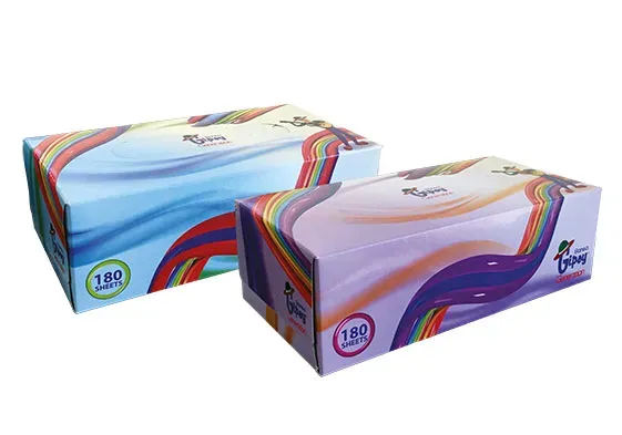 Sanita Gipsy Generation Facial Tissue | Trendy & Ultra-Soft Tissues