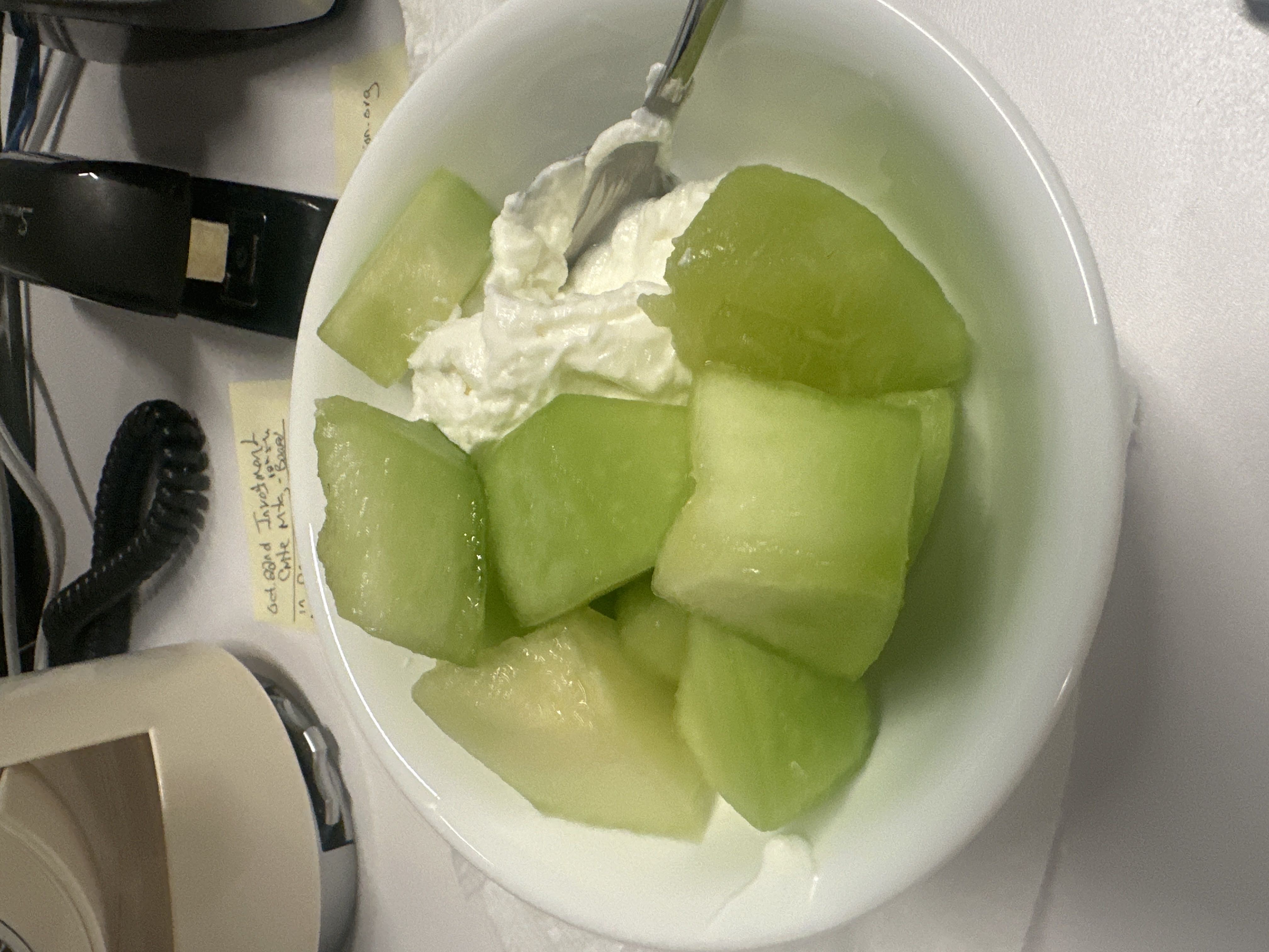 Healthy High Protein Yogurt Recipe