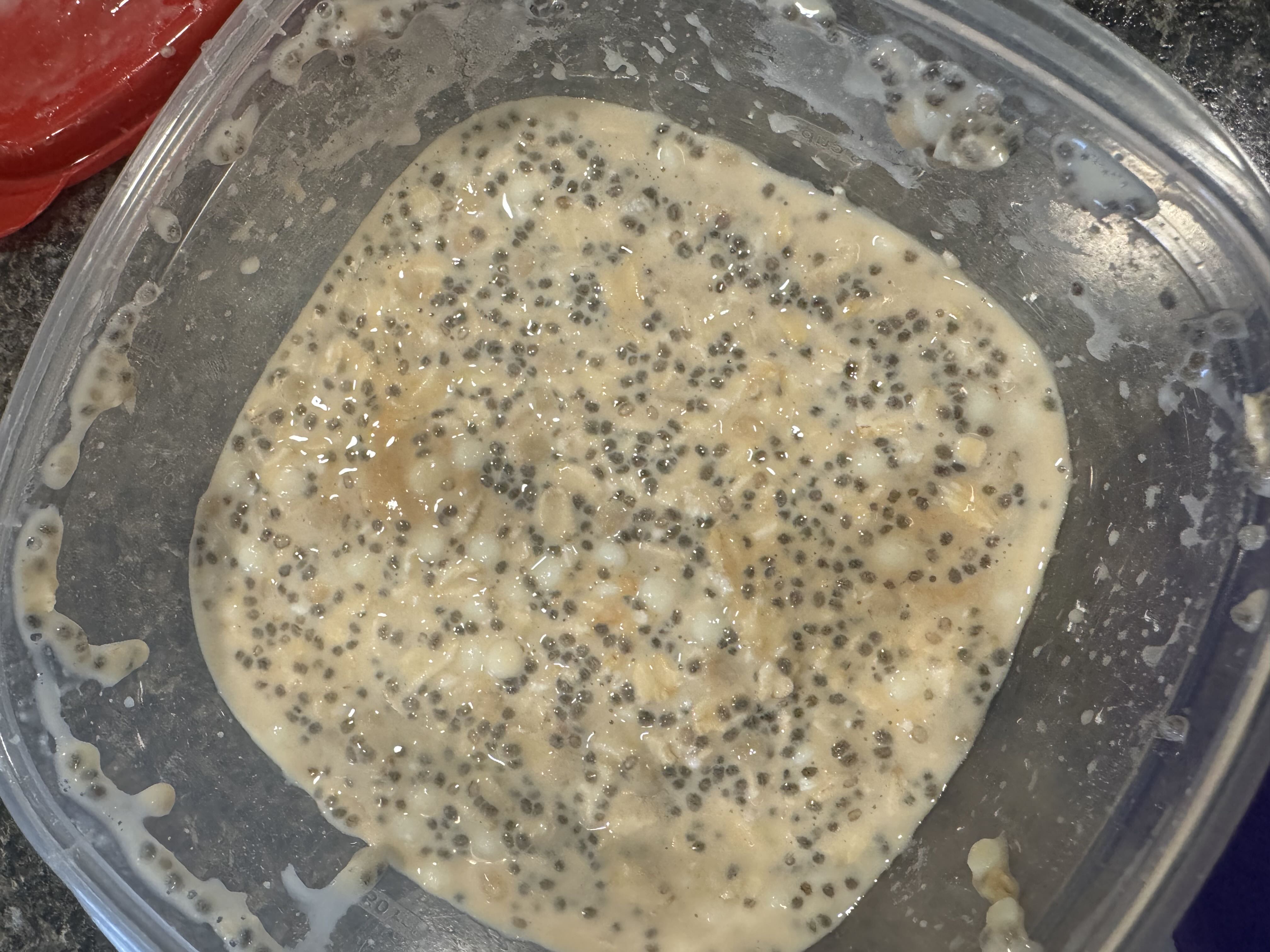 Healthy High Protein Oats Recipe