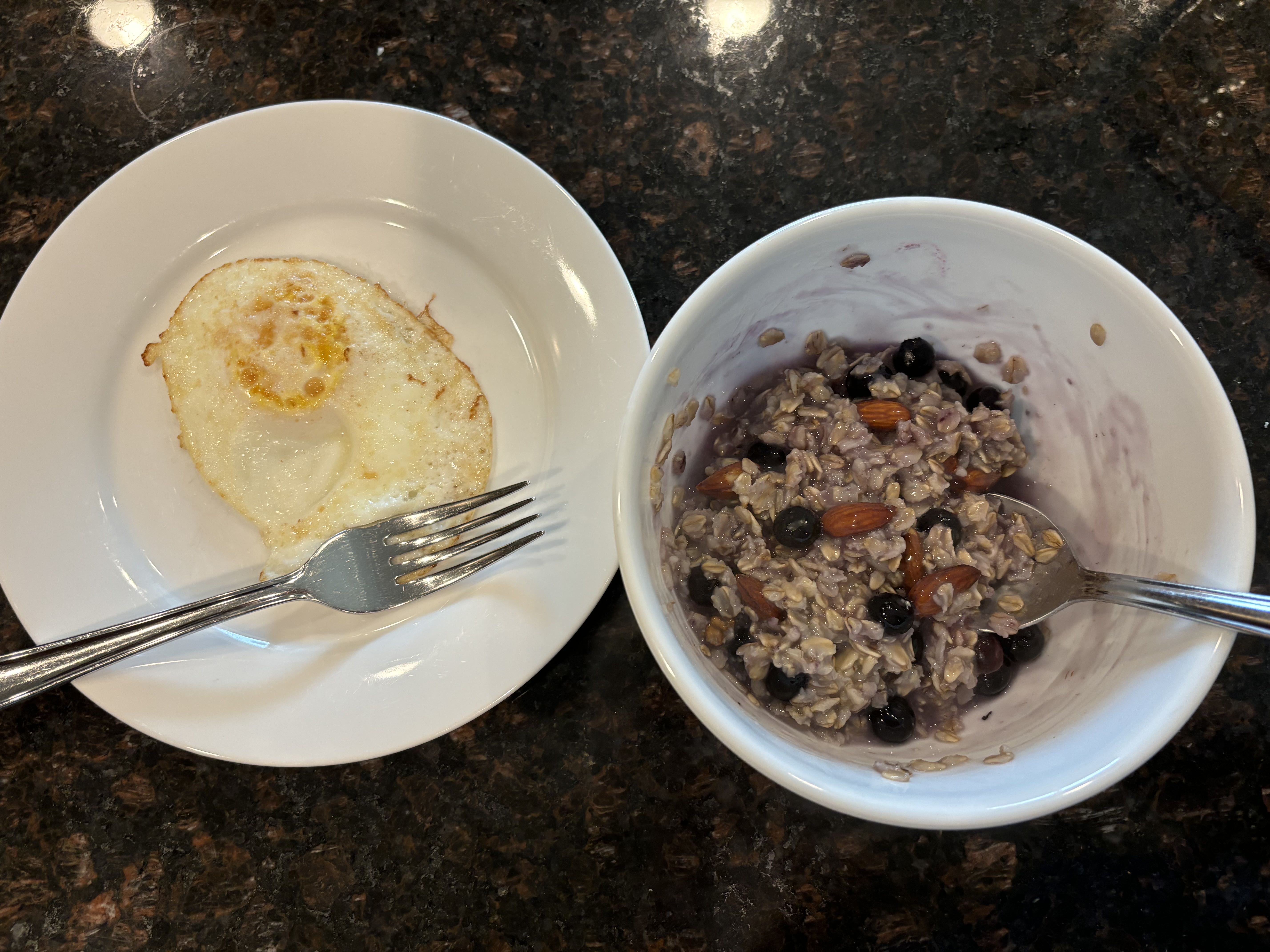 Healthy High Protein Oats Recipe