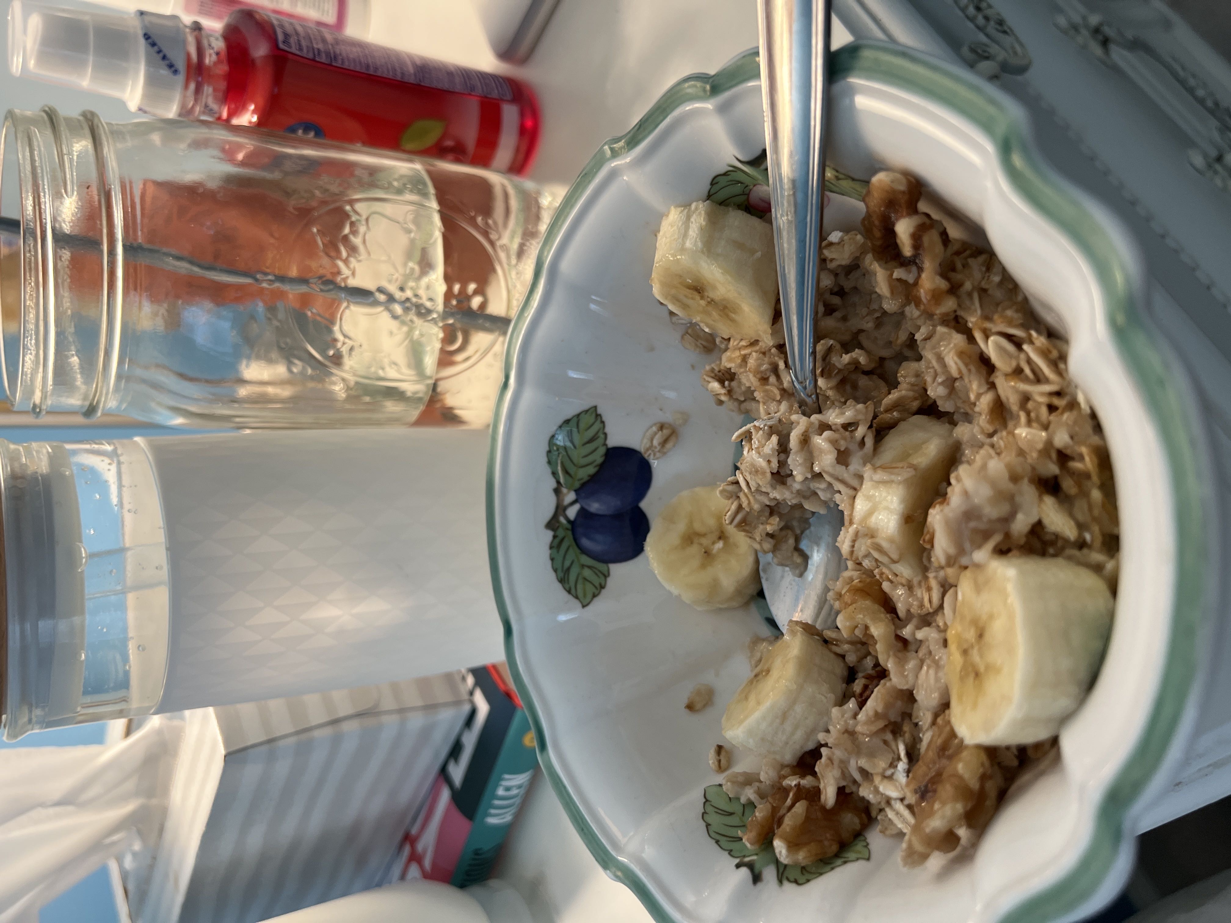 Healthy High Protein Oats Recipe