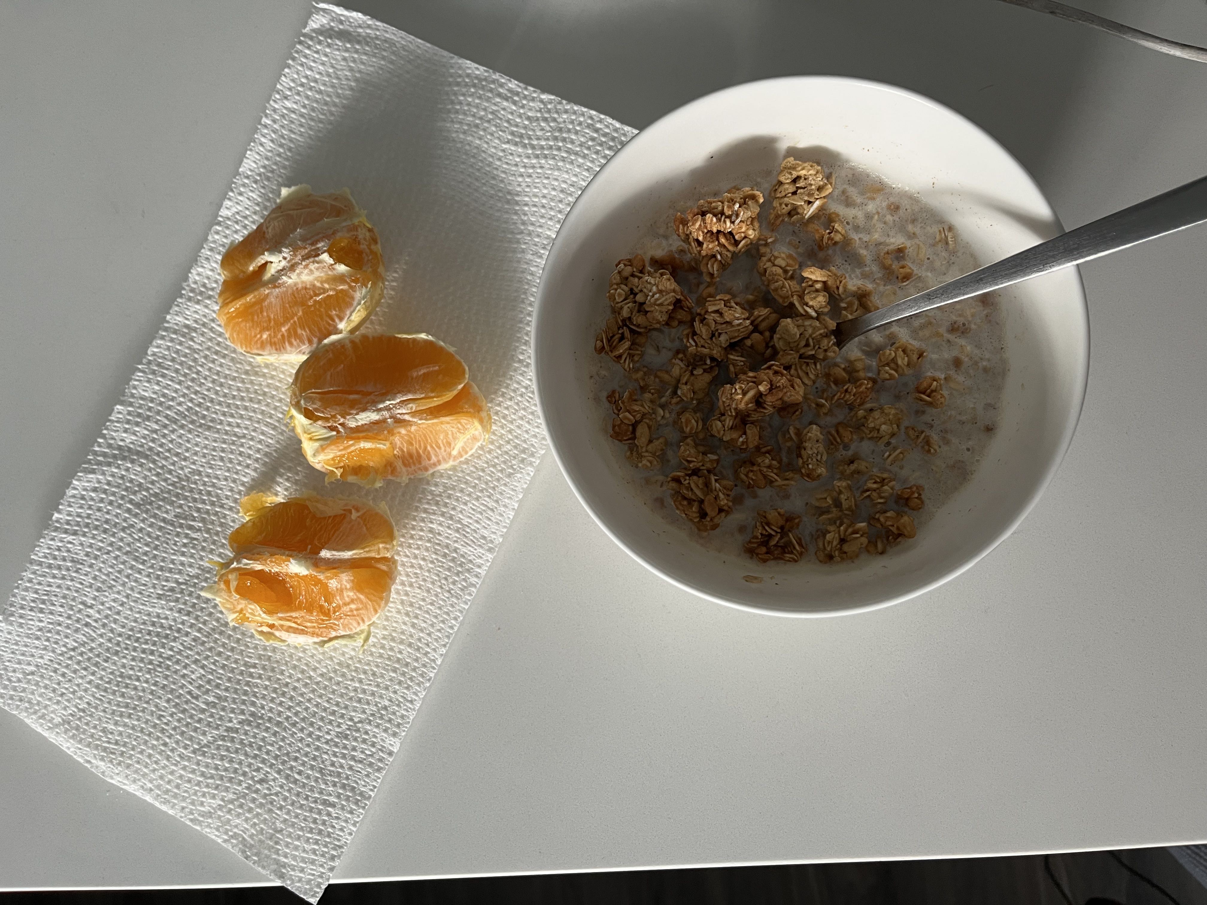 Healthy High Protein Oats Recipe