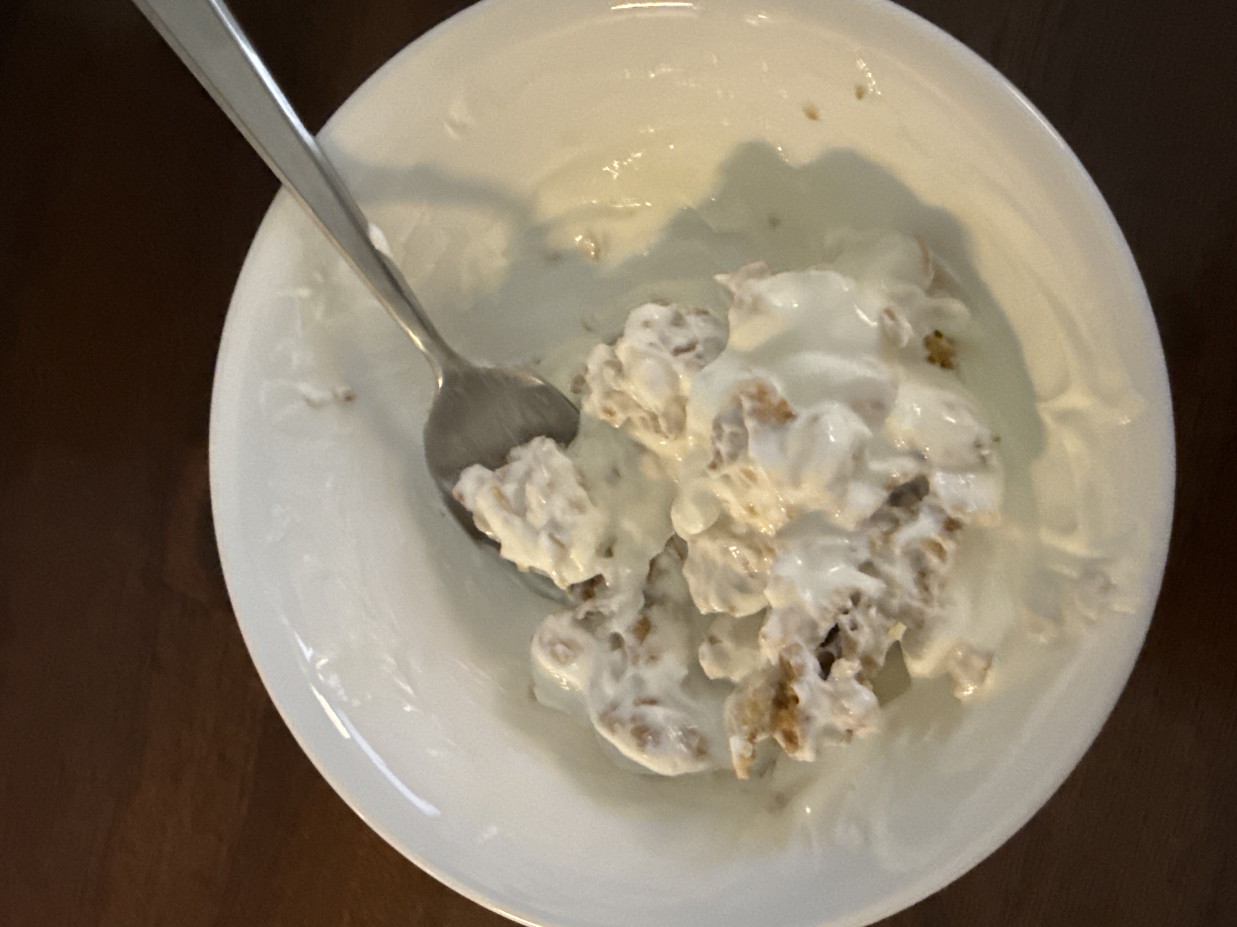 Healthy High Protein Yogurt Recipe