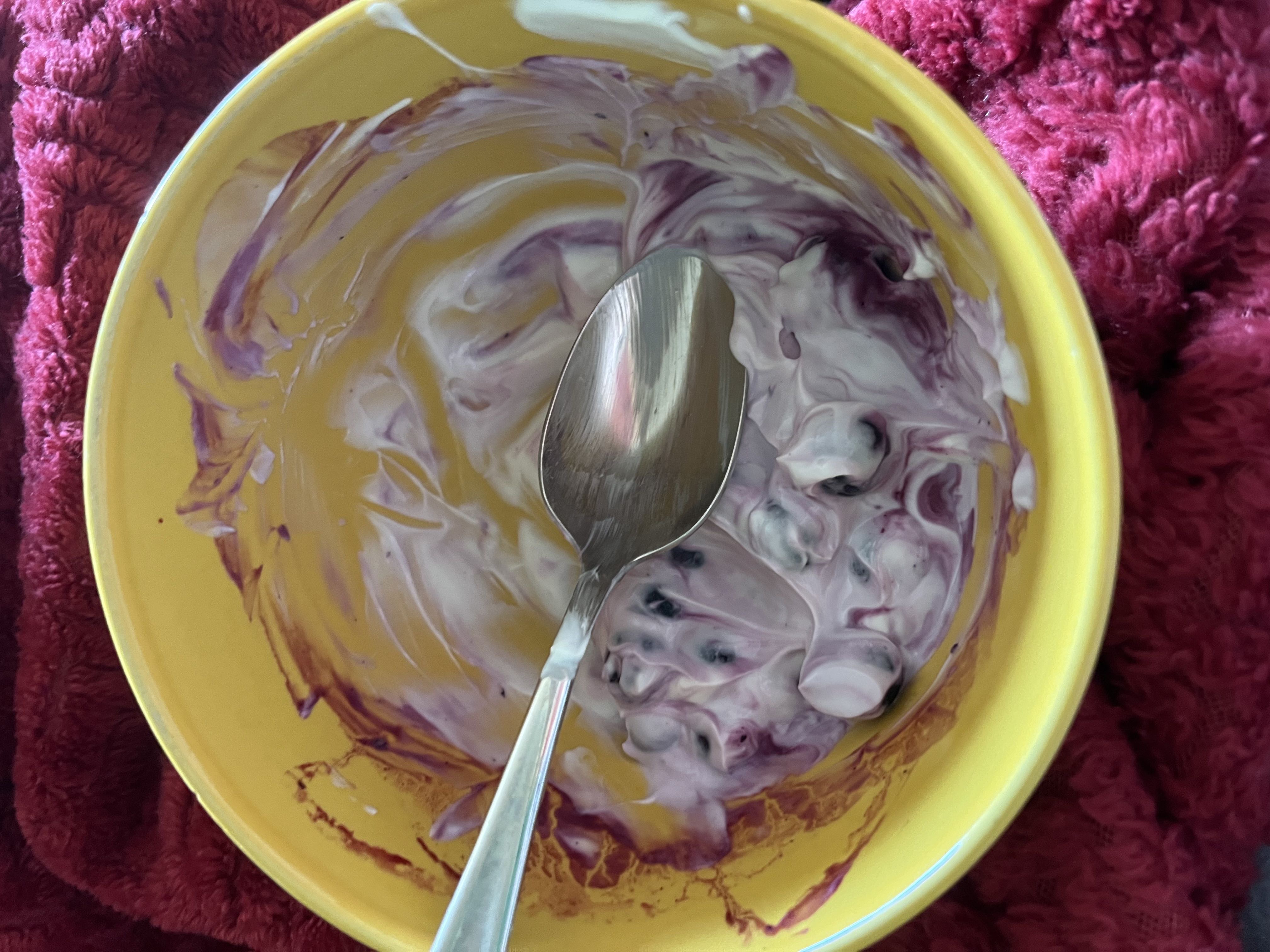 Healthy High Protein Yogurt Recipe