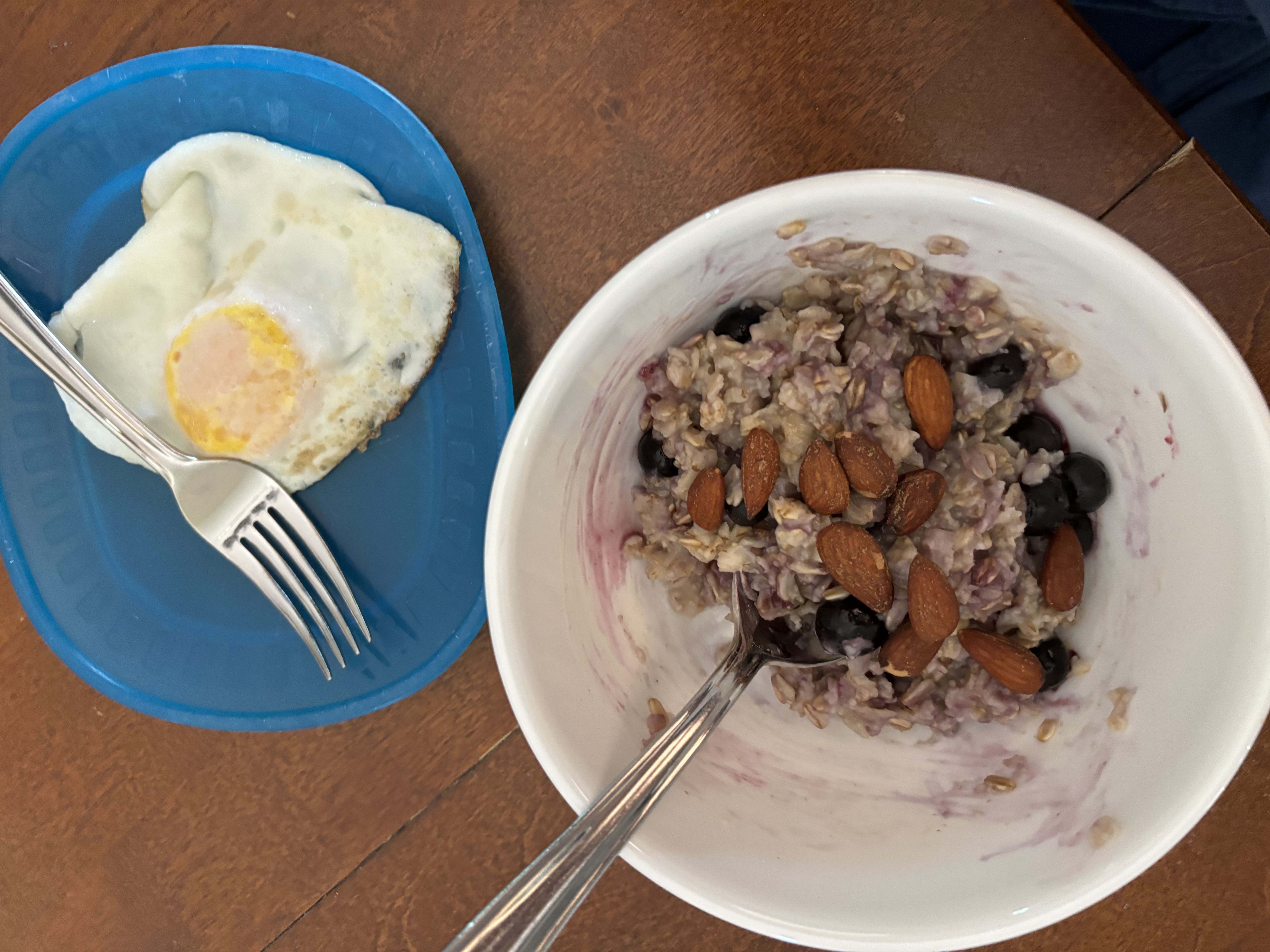 Healthy High Protein Oats Recipe