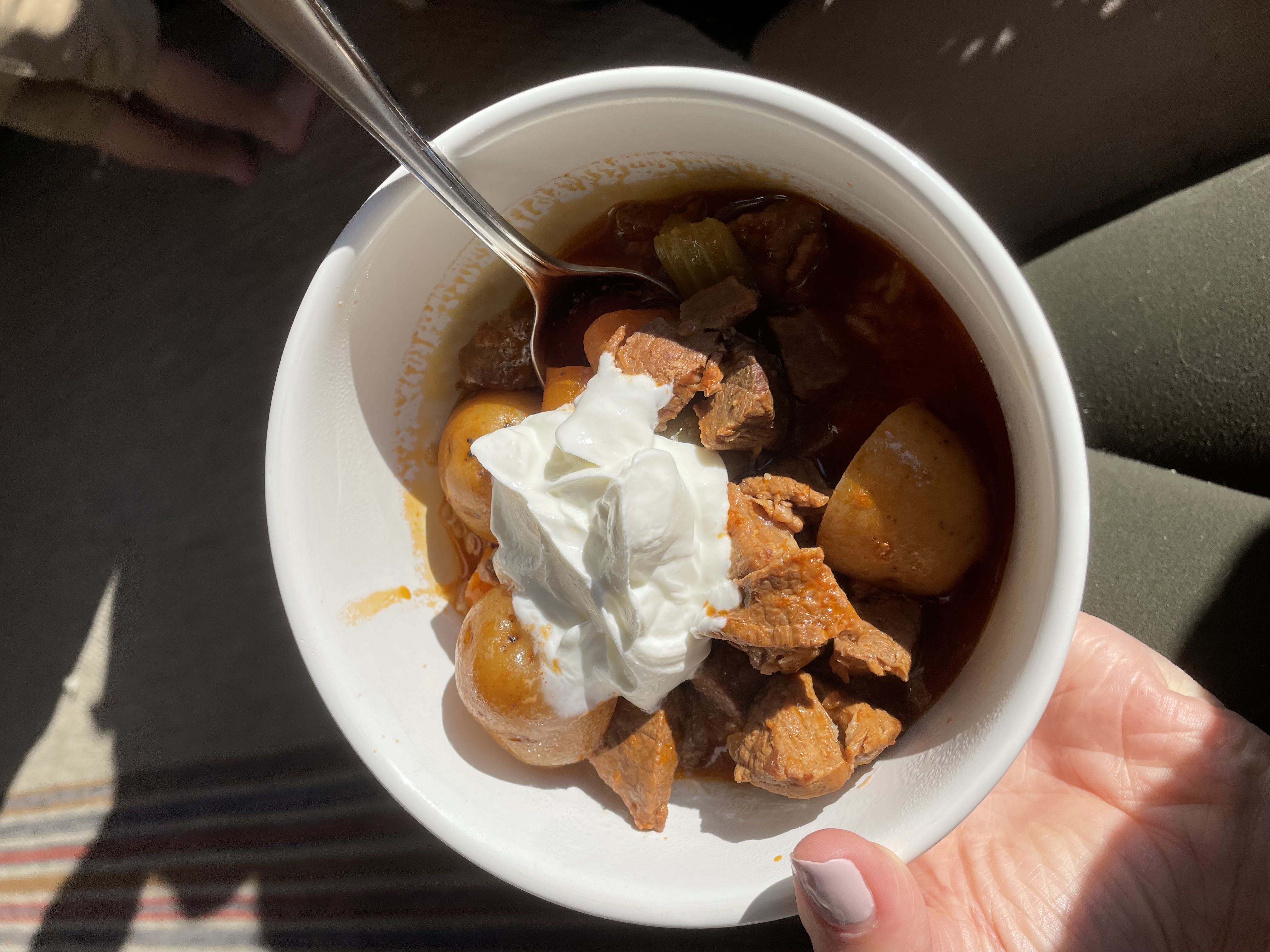 Healthy Beef Stew Recipe