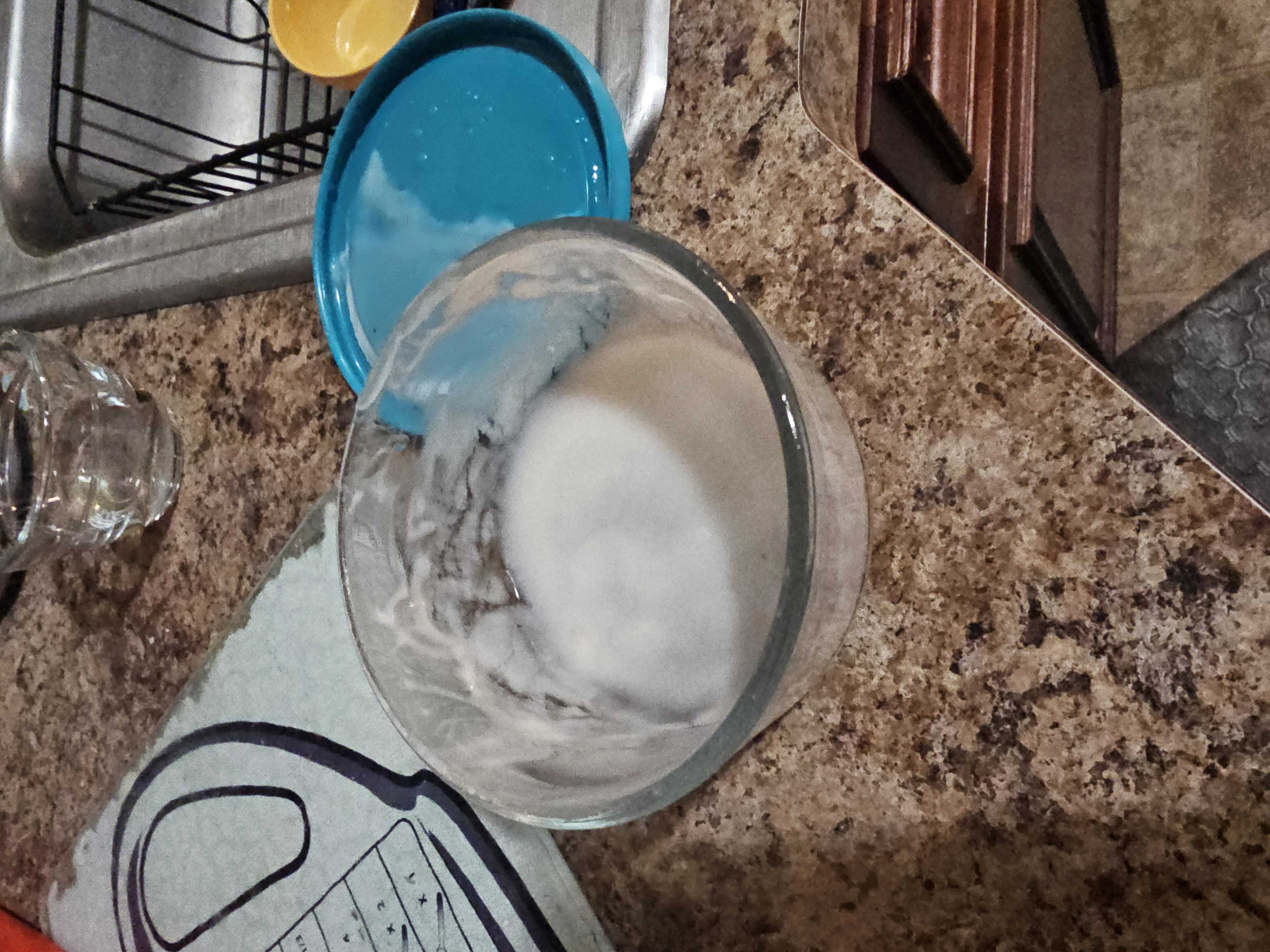 Healthy High Protein Yogurt Recipe