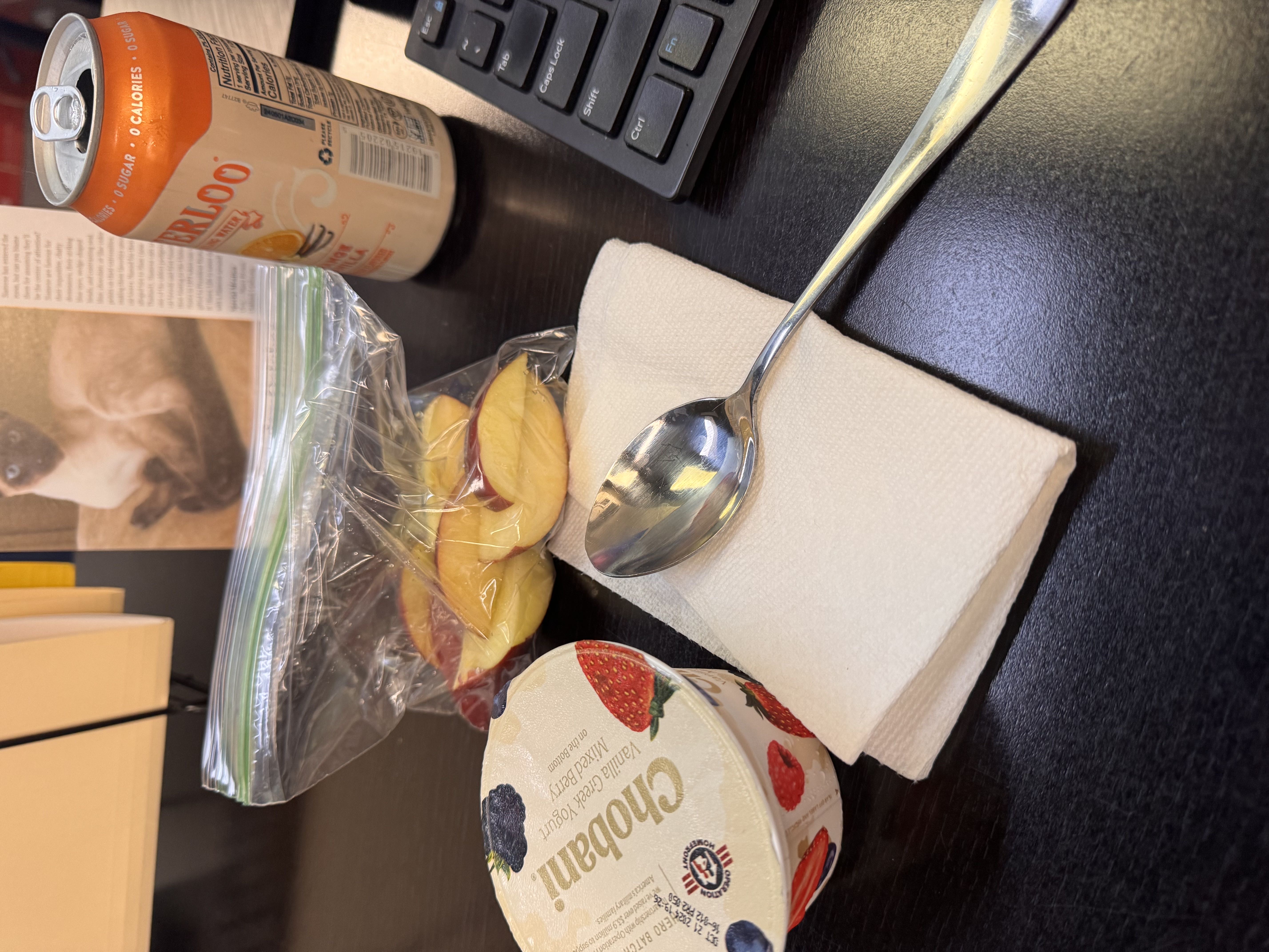 Healthy High Protein Yogurt Recipe