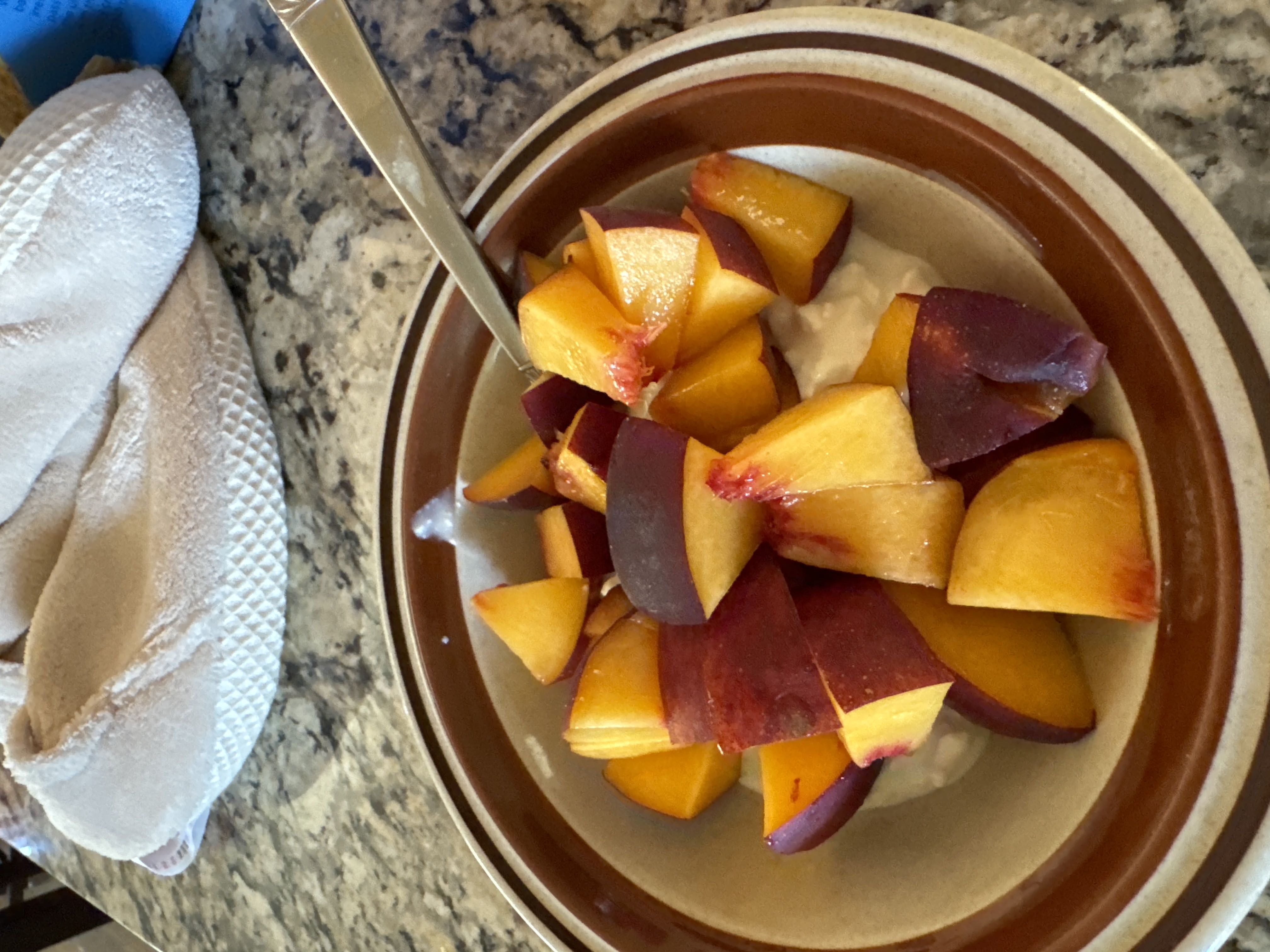 Healthy Protein Snack Recipe