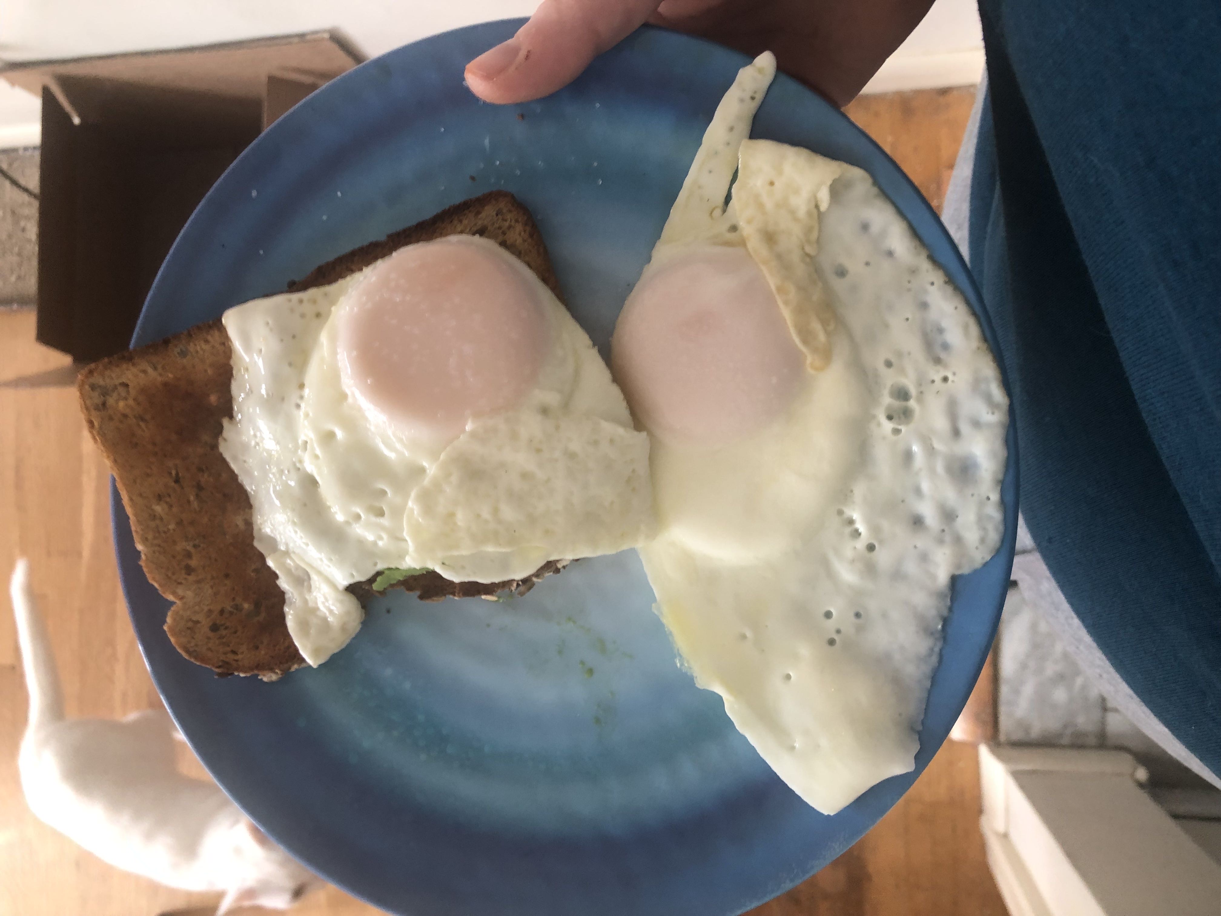 Healthy Avocado Toast with Egg Recipe