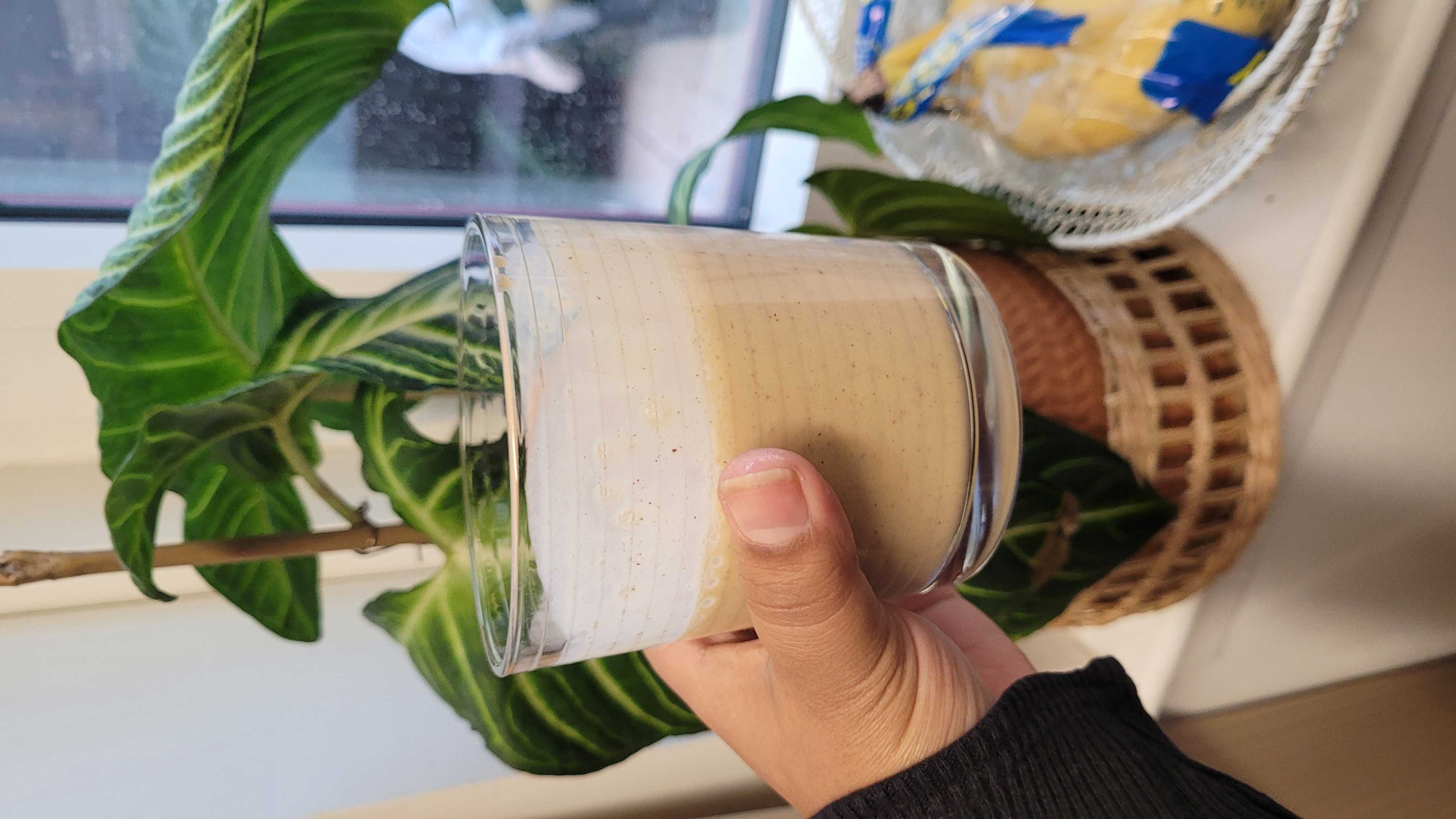 Healthy High Protein Yogurt Recipe