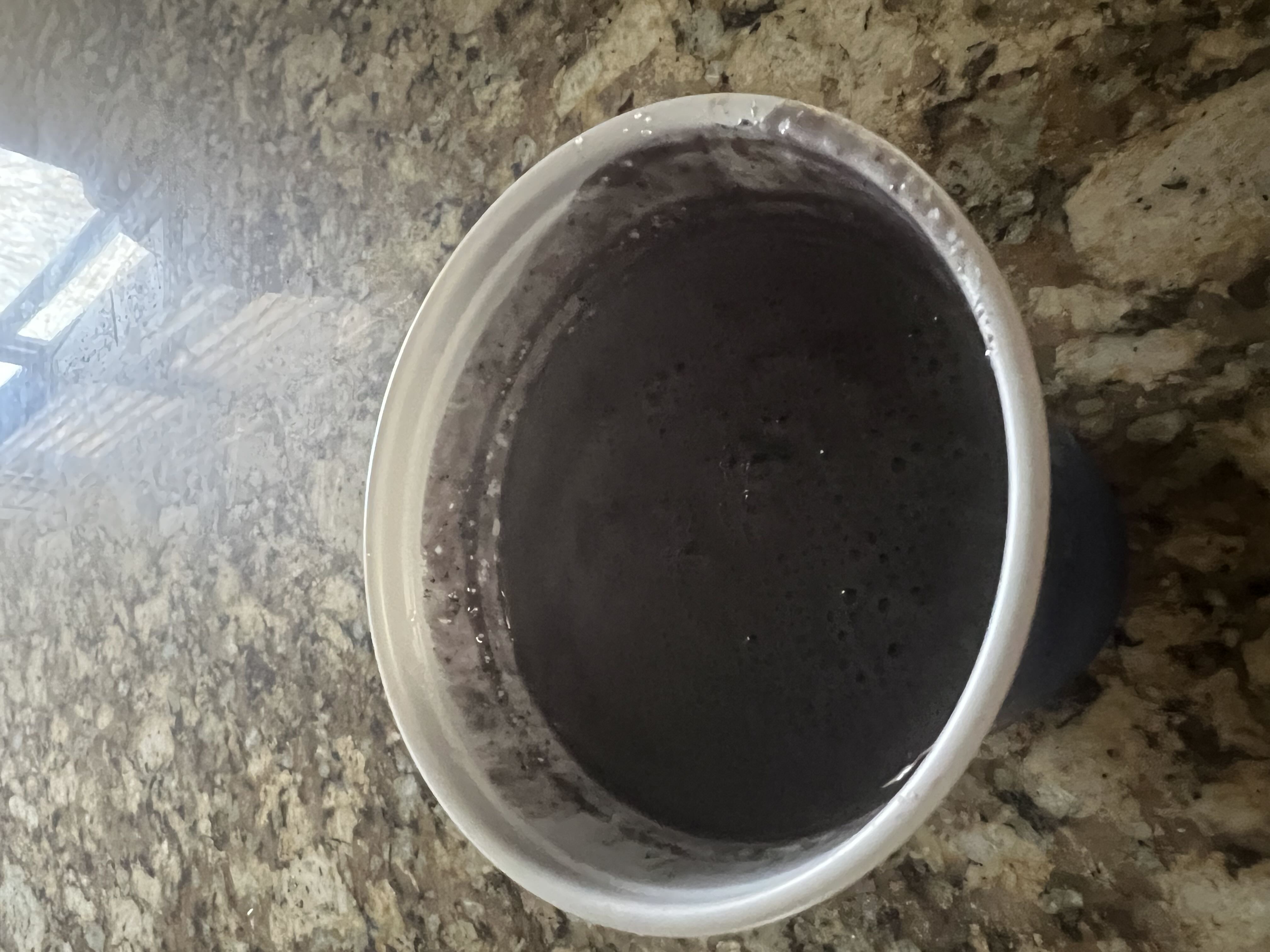 Healthy High Protein Smoothie Recipe