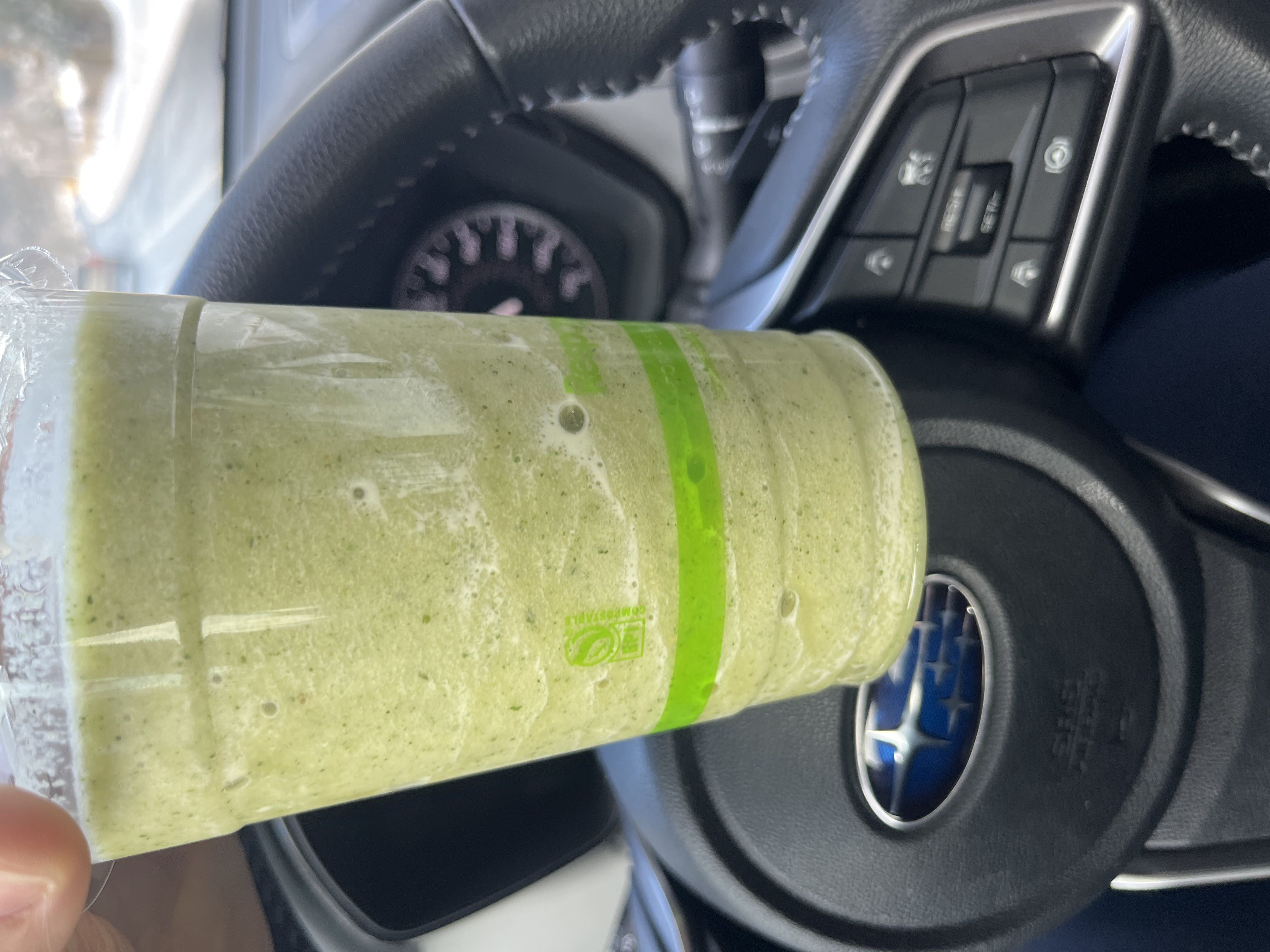 Healthy High Protein Smoothie Recipe