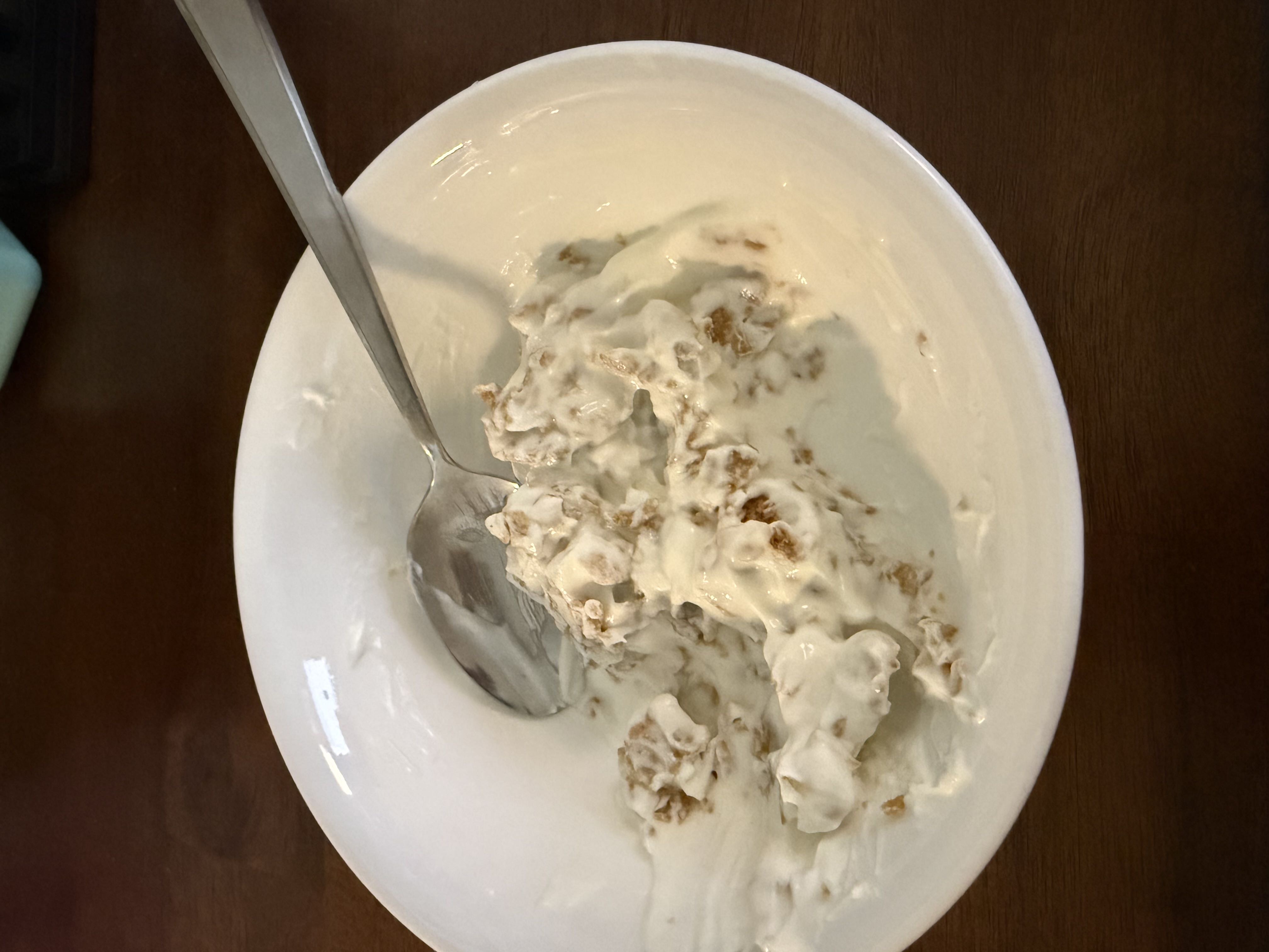 Healthy High Protein Yogurt Recipe