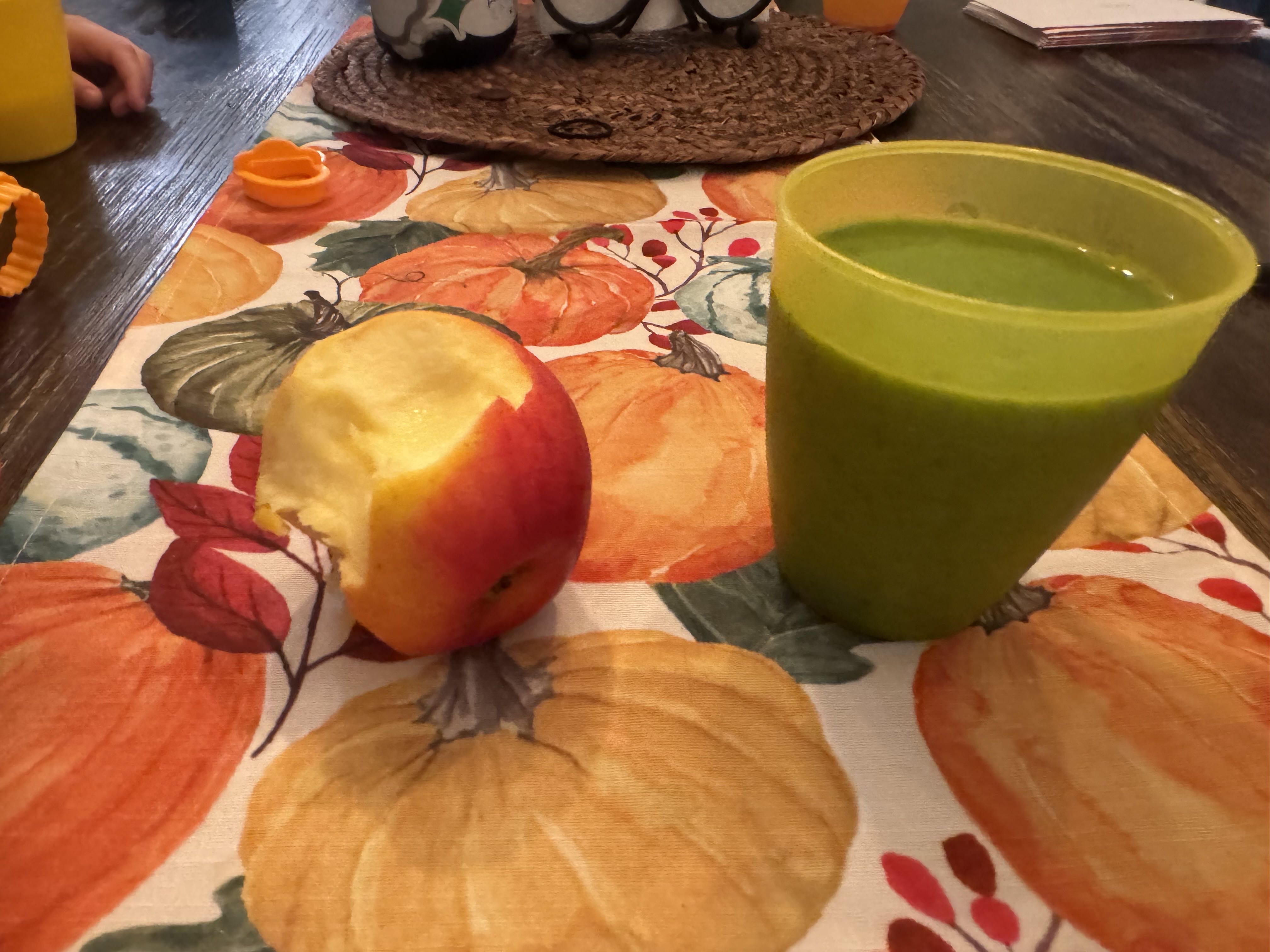 Healthy High Protein Smoothie Recipe