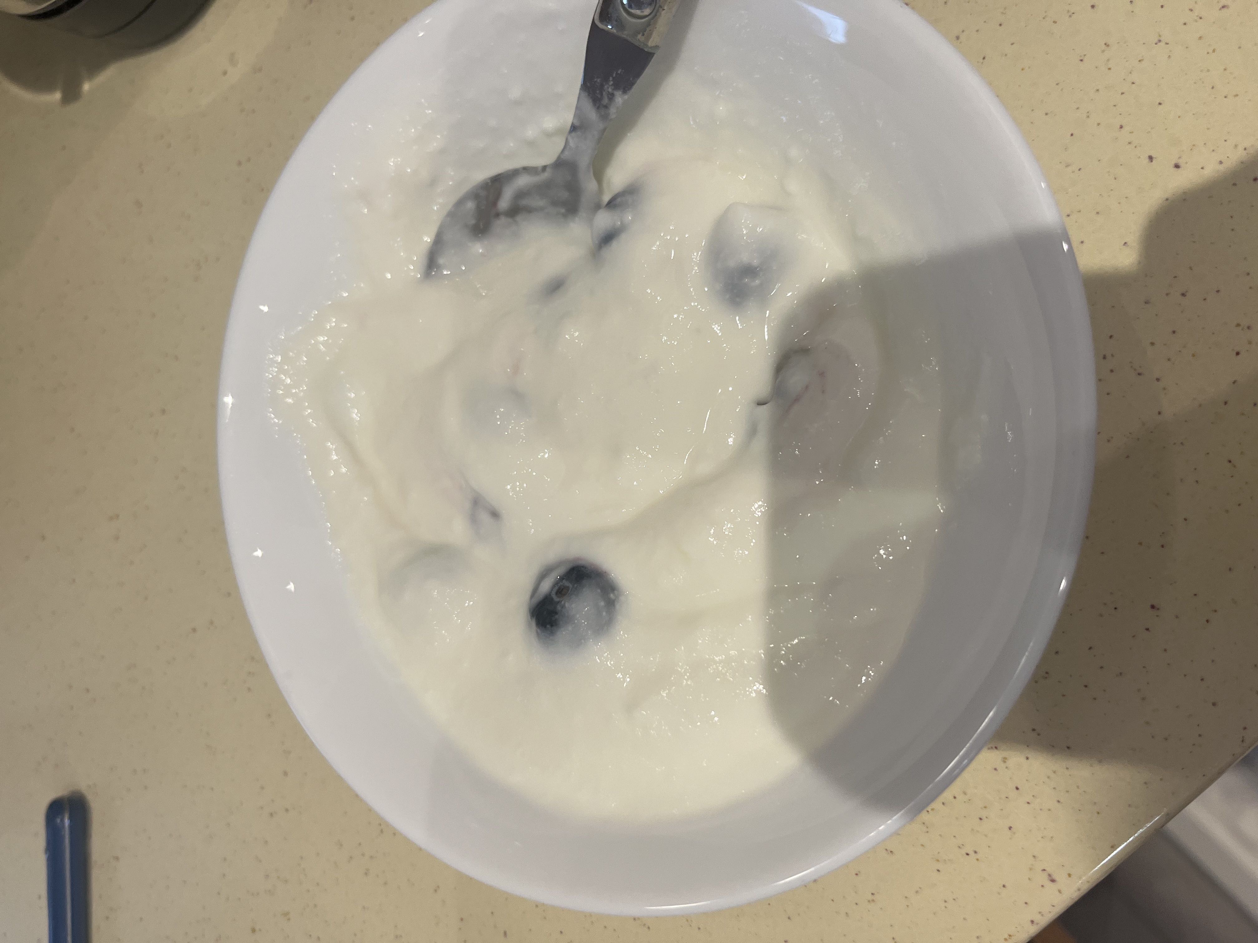 Healthy Greek Yogurt with Blueberries Recipe